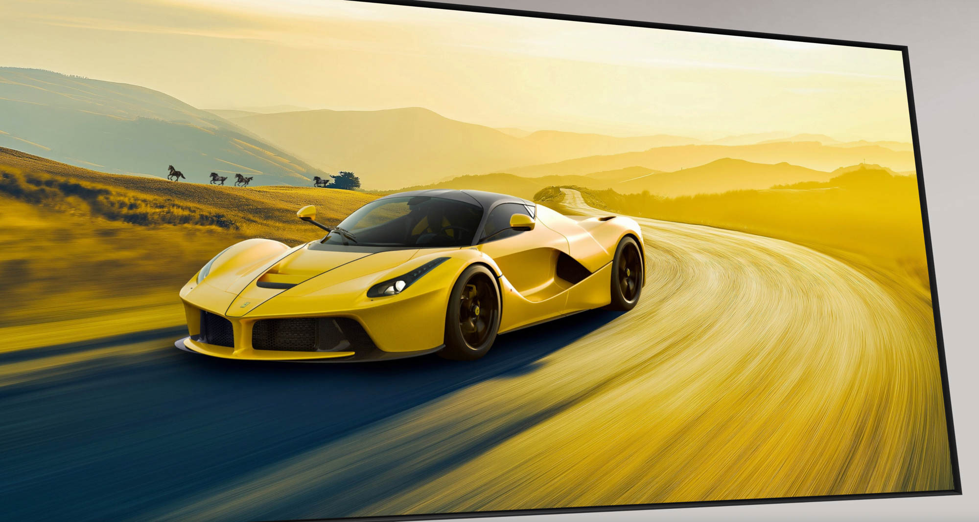 Road Race Rally LaFerrari