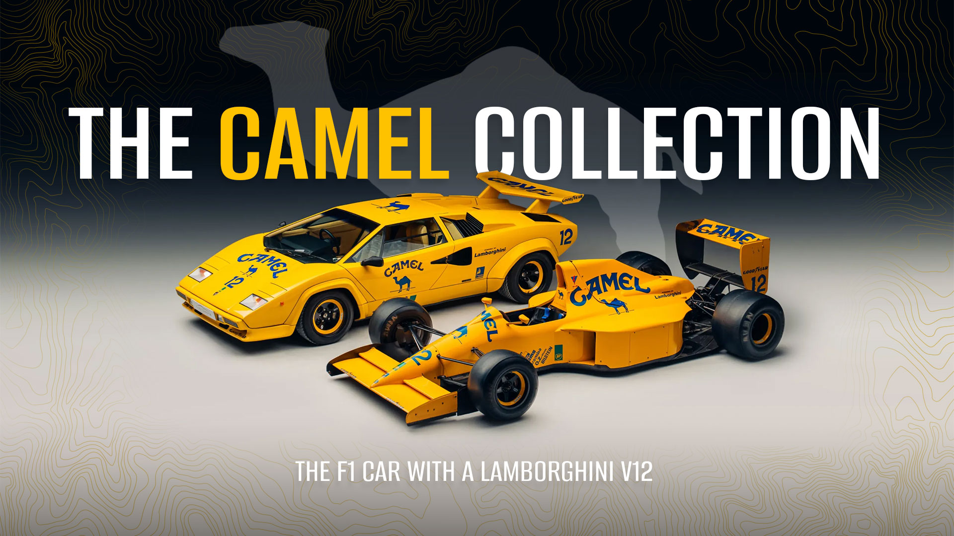The Camel Collection