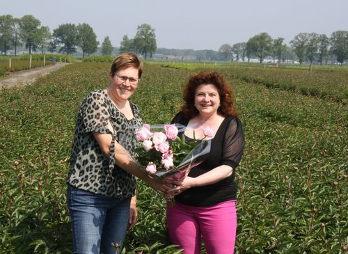 1e bos pioenen overhandigd aan wethouder Wilmie Steeghs