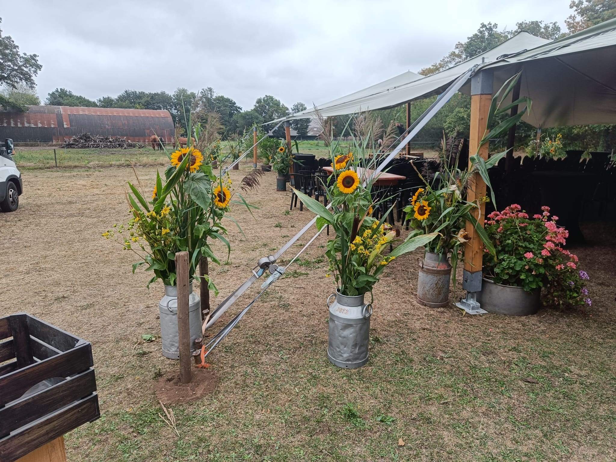 kruiken met zonnebloemen, mais en grassen bij de uitvaart