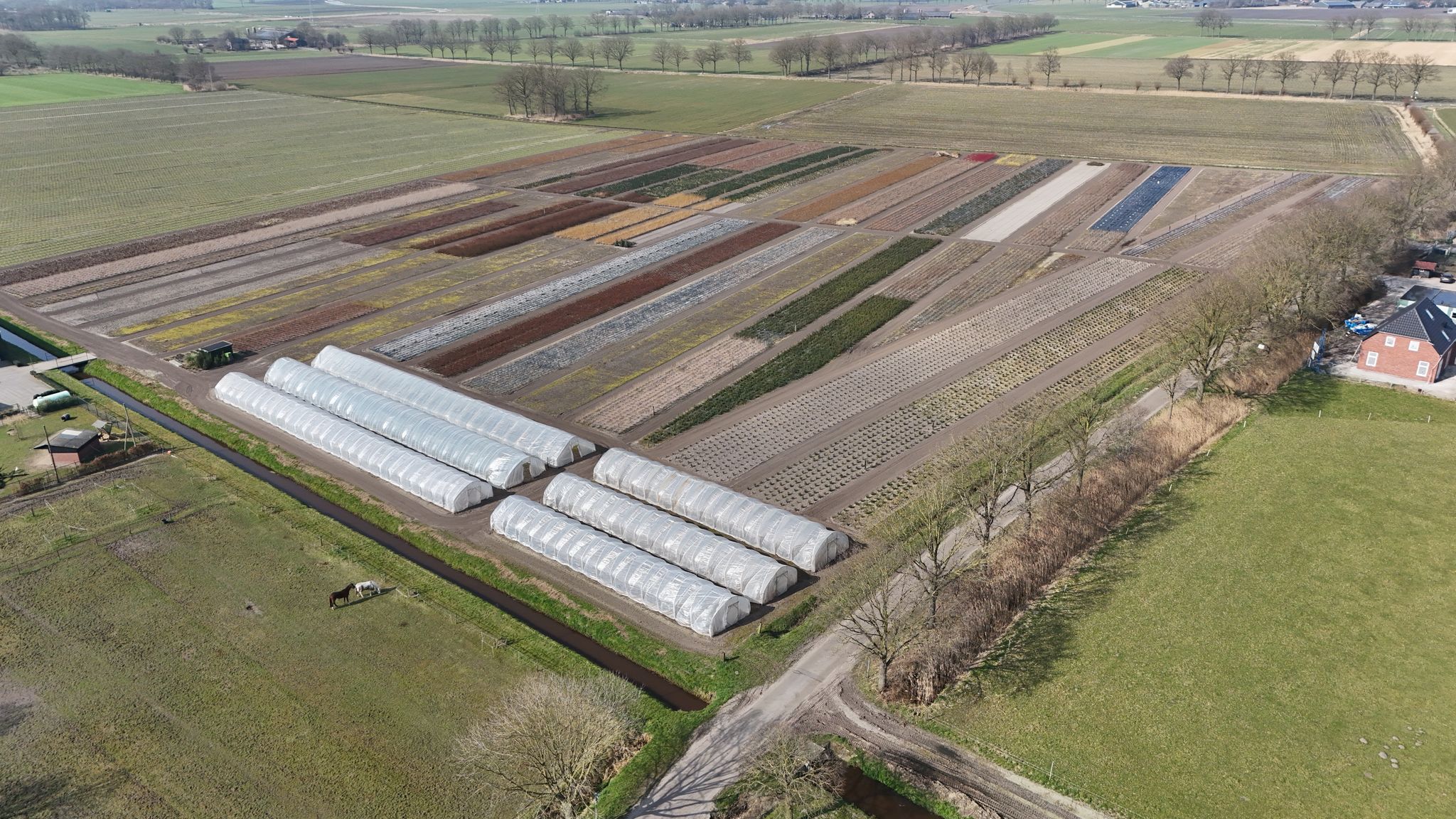 bovenaanzicht kwekerij