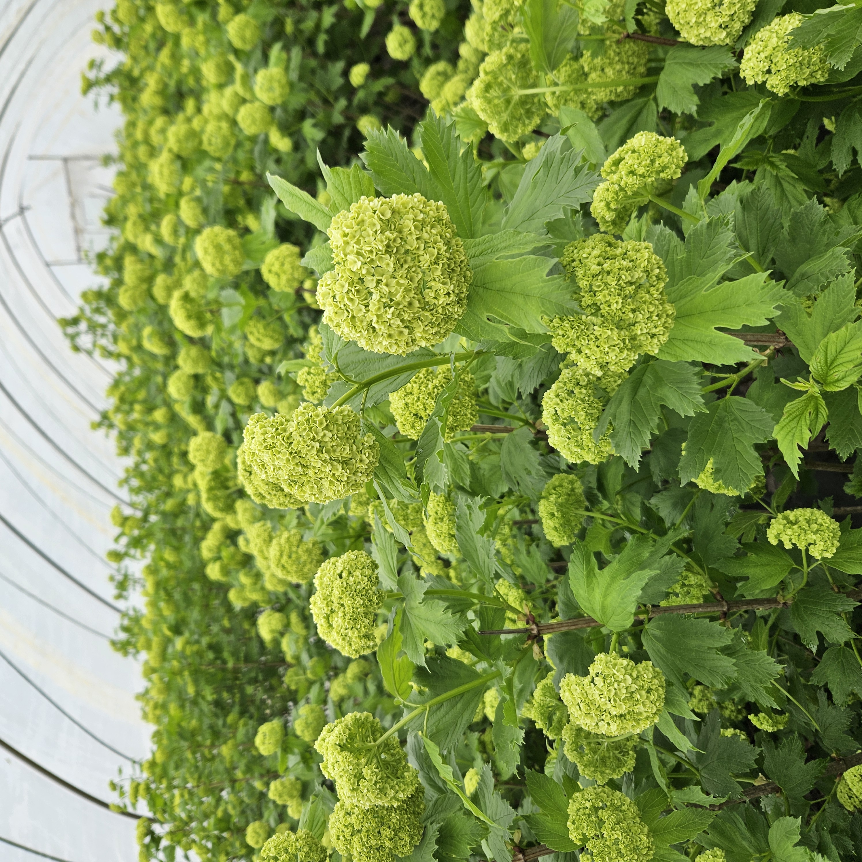 En plots was er werk aan de winkel