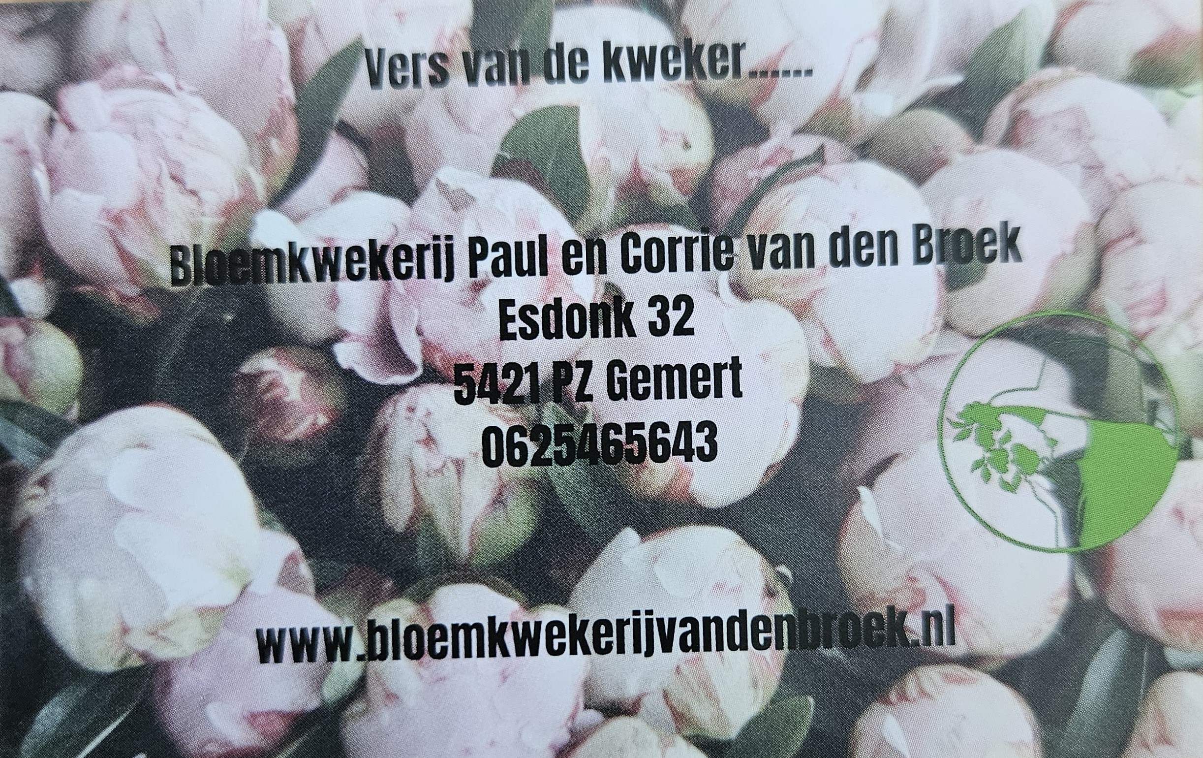 Verzorgingstips pioenen