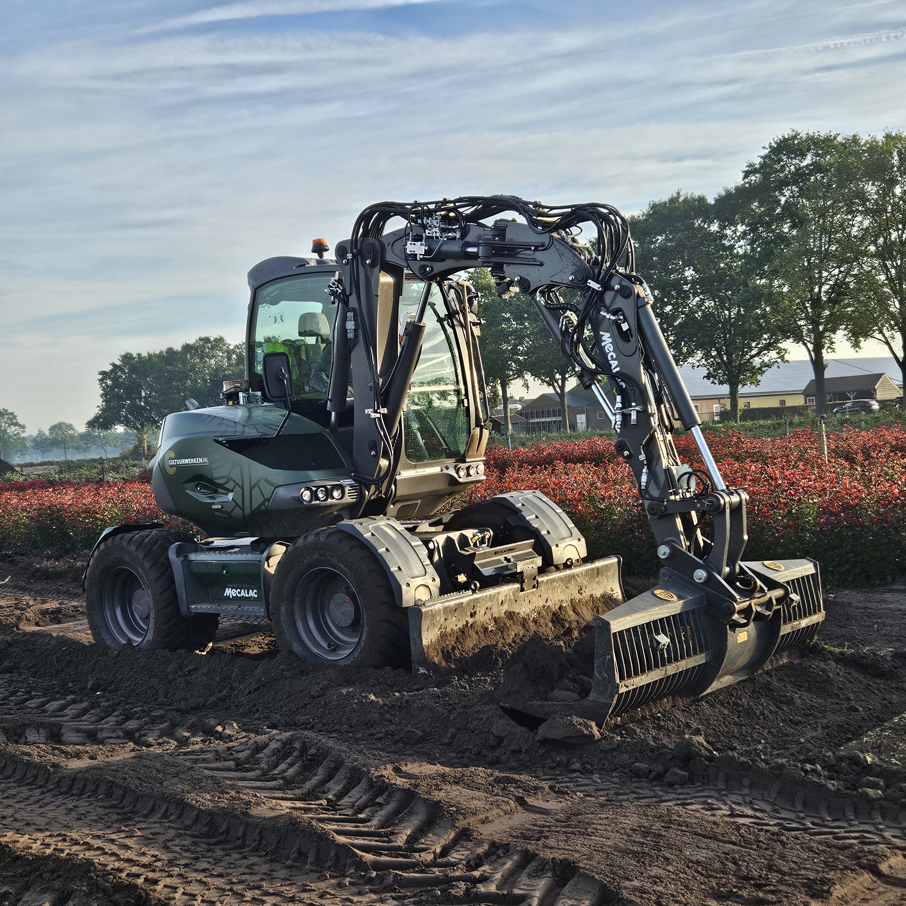 van oude aanplant naar gezonde bodem voor nieuwe aanplant