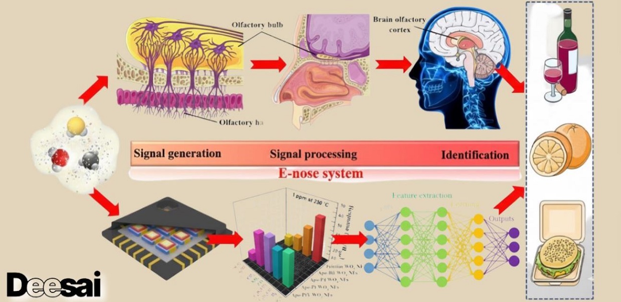 จมน้ำอิเล็กทรอนิกส์ทำงานอย่างไร?