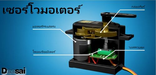 เซอร์โวมอเตอร์