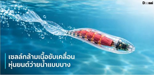 เซลล์กล้ามเนื้อขับเคลื่อนหุ่นยนต์ว่ายน้ำแบบบาง