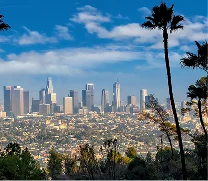 View of a city skyline with tall skyscrapers under a blue sky with scattered clouds, framed by two tall palm trees and greenery in the foreground.