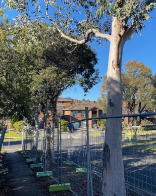 Tree protection fencing
