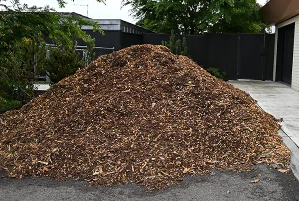 a very large pile of mulch made from trees