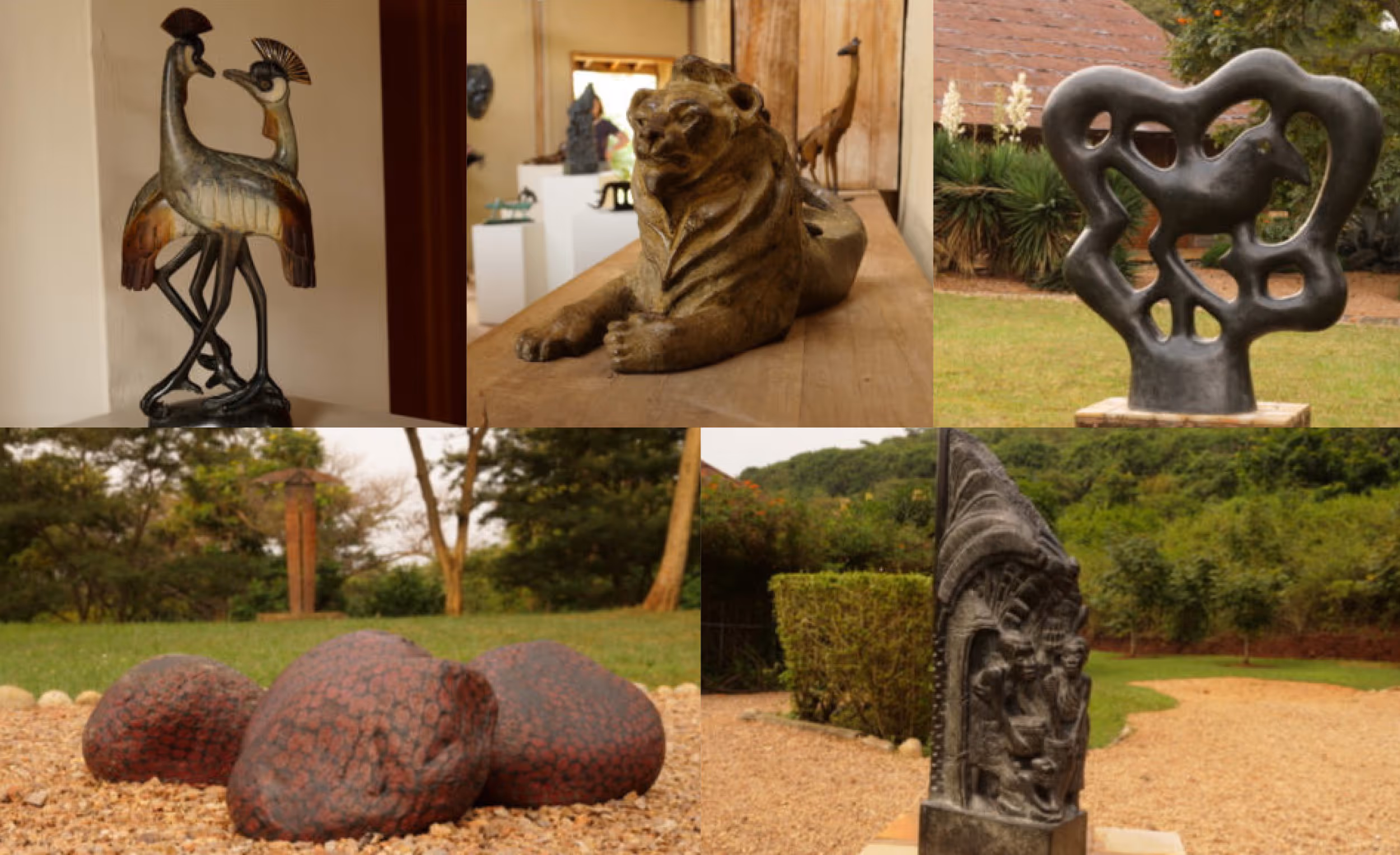 Rwenzori Rainmakers - Rewilding and Supporting the Community in Uganda