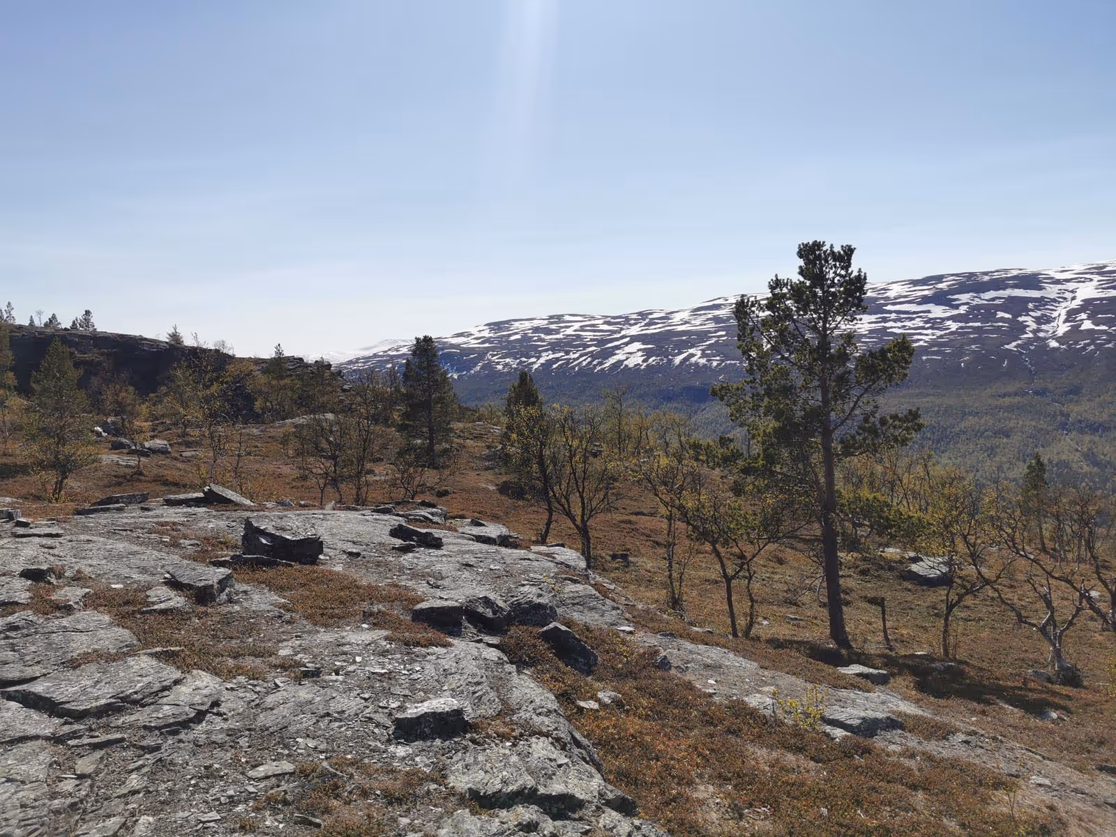 Rocky terrain with sparse trees and shrubs in the foreground, snow-capped mountains in the distance under a clear blue sky.