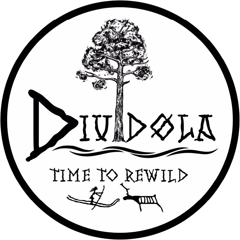 Dividola logo featuring a stylized tree above the text 'TIME TO REWILD' with illustrations of a person paddling a canoe and an animal beneath.