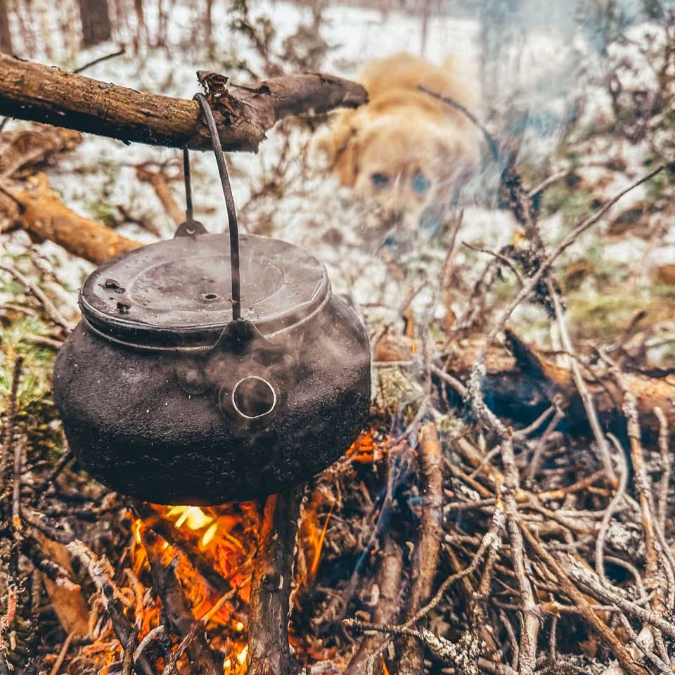 Black kettle hanging over a campfire with a dog lying in the background among dry branches.