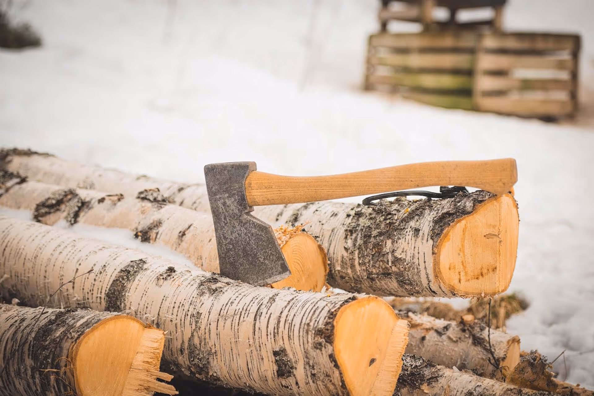 A stacked pile of freshly cut birch logs with an axe embedded in one log on a snowy ground.