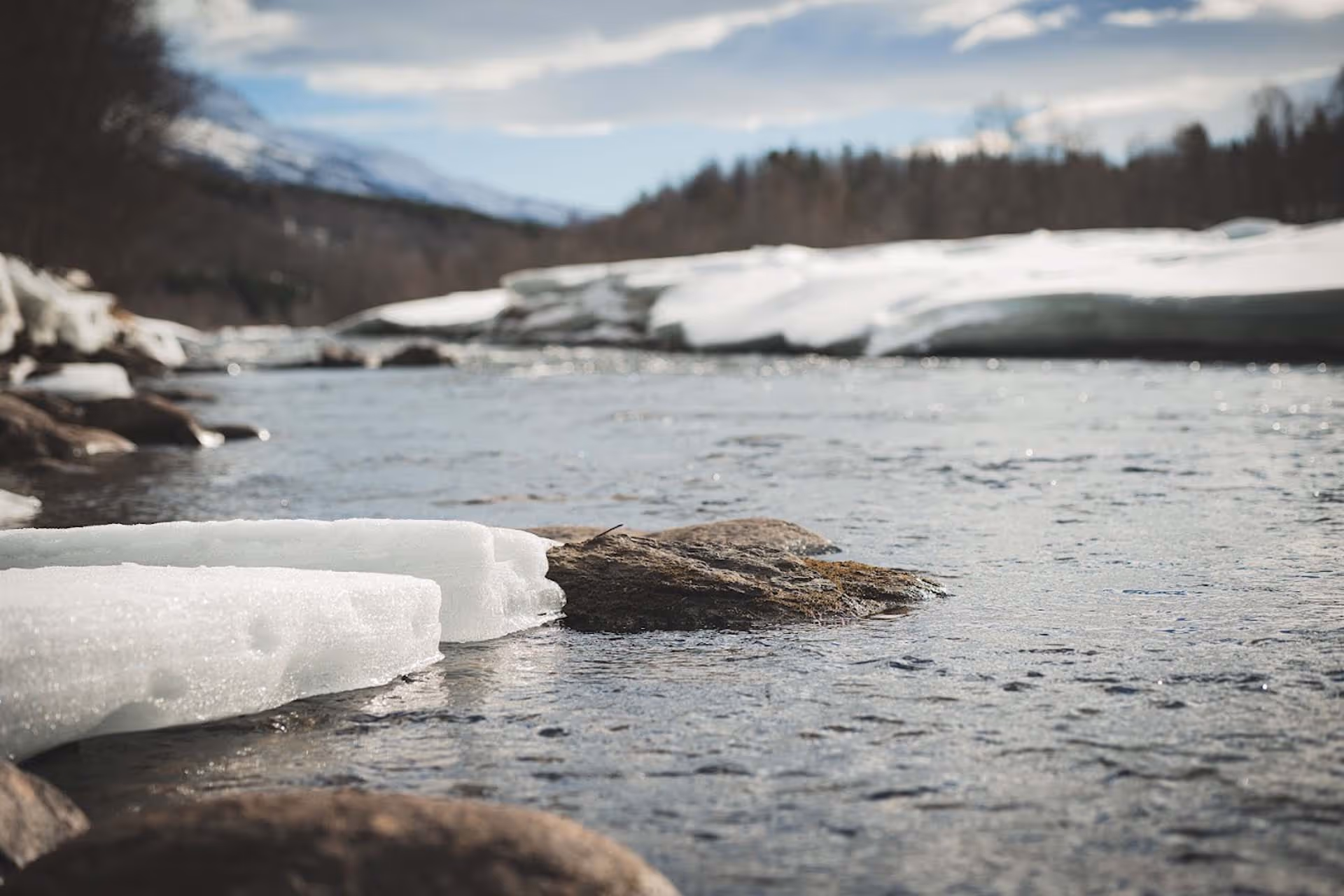 A river flowing through a snowy landscape with rocks and distant trees under a cloudy sky.