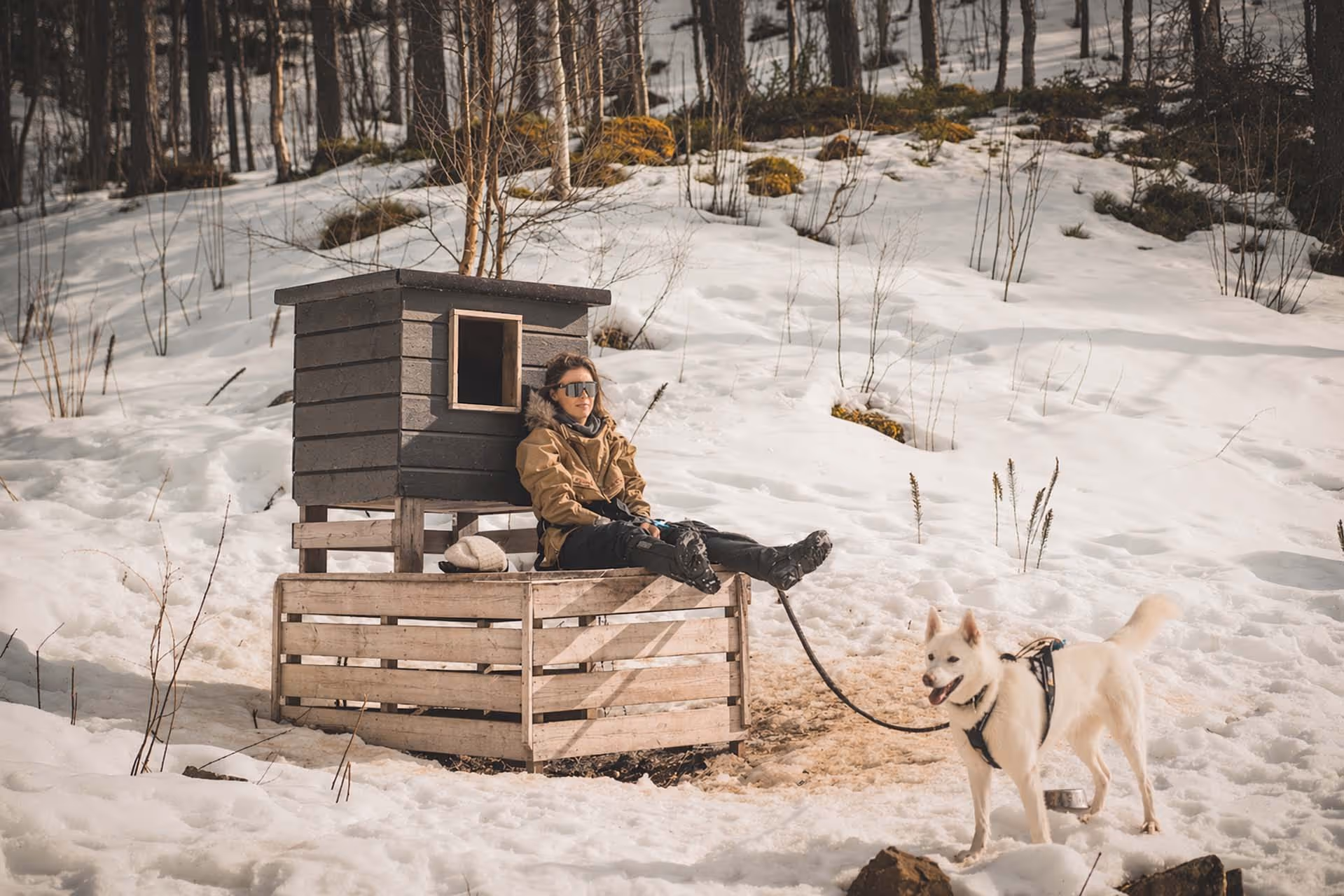 Person wearing winter coat and reflective sunglasses sitting on a wooden structure in snow beside a white dog on a leash.