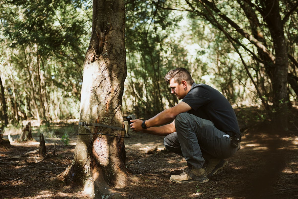 Camera trap surveys allow for regional biodiversity to be assessed.