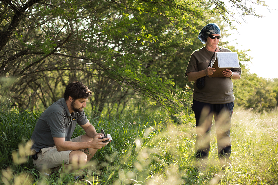 A male and a female wildlife researcher in a field. The male is crouched down looking at a tablet, while the female stands holding a radio antenna and clipboard.