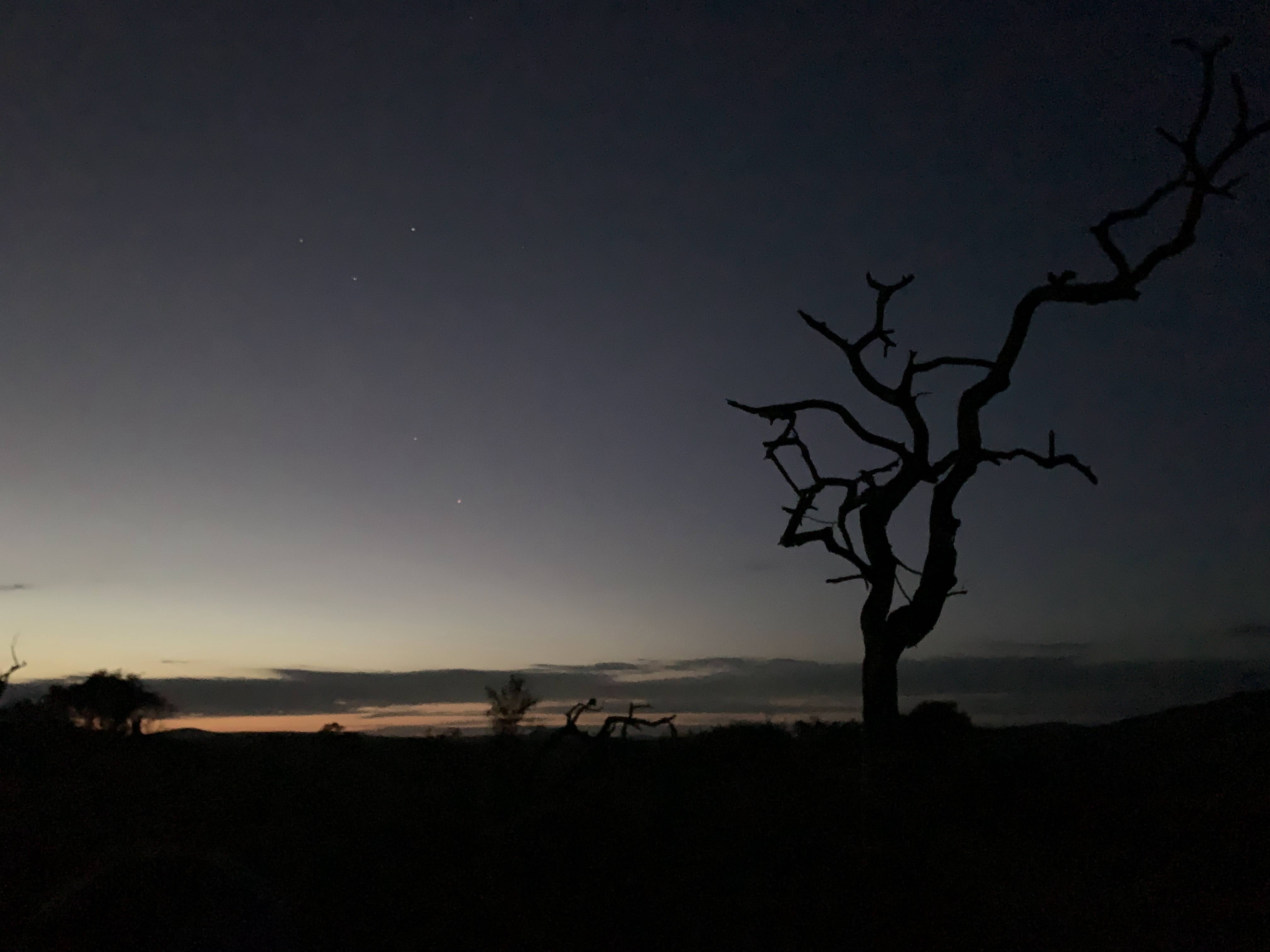 Volunteers departing camp before sunrise for early morning wildlife monitoring