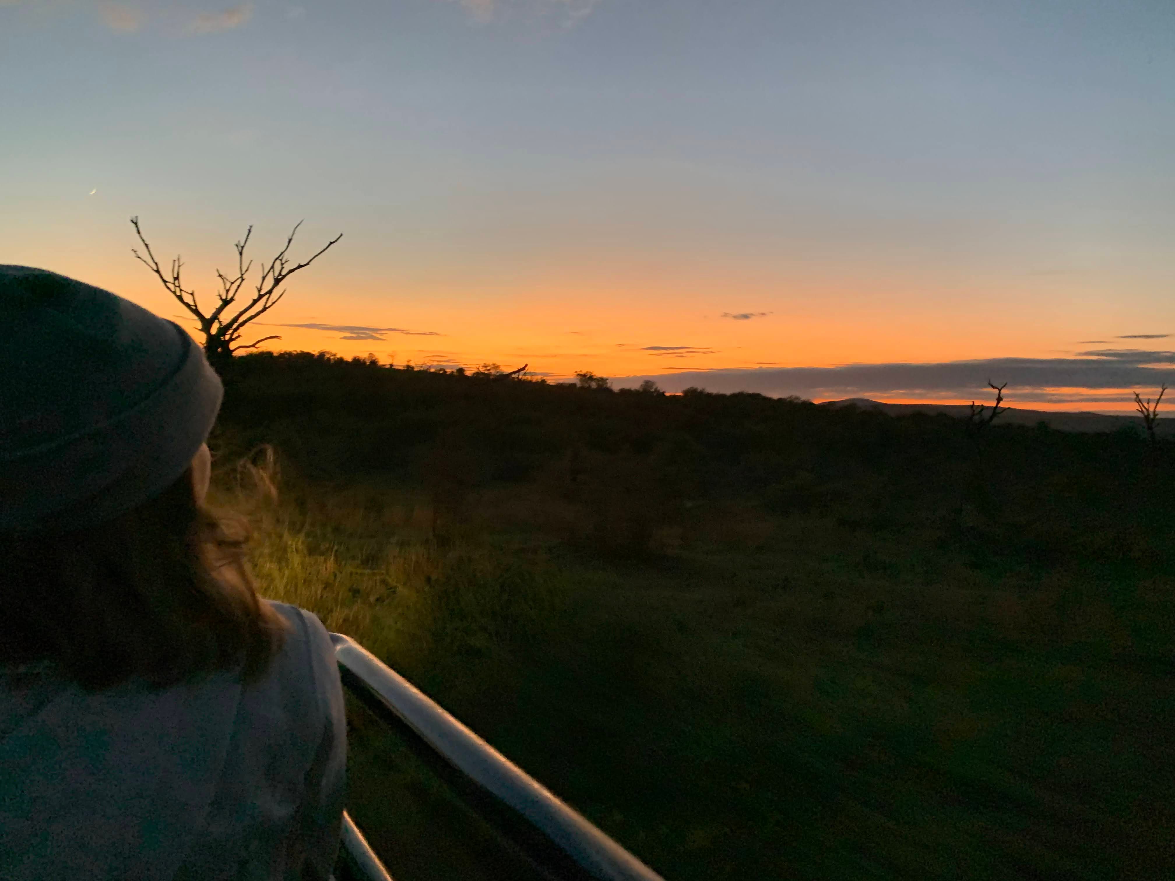 Golden sunrise over a South African wildlife reserve seen during morning patrol.