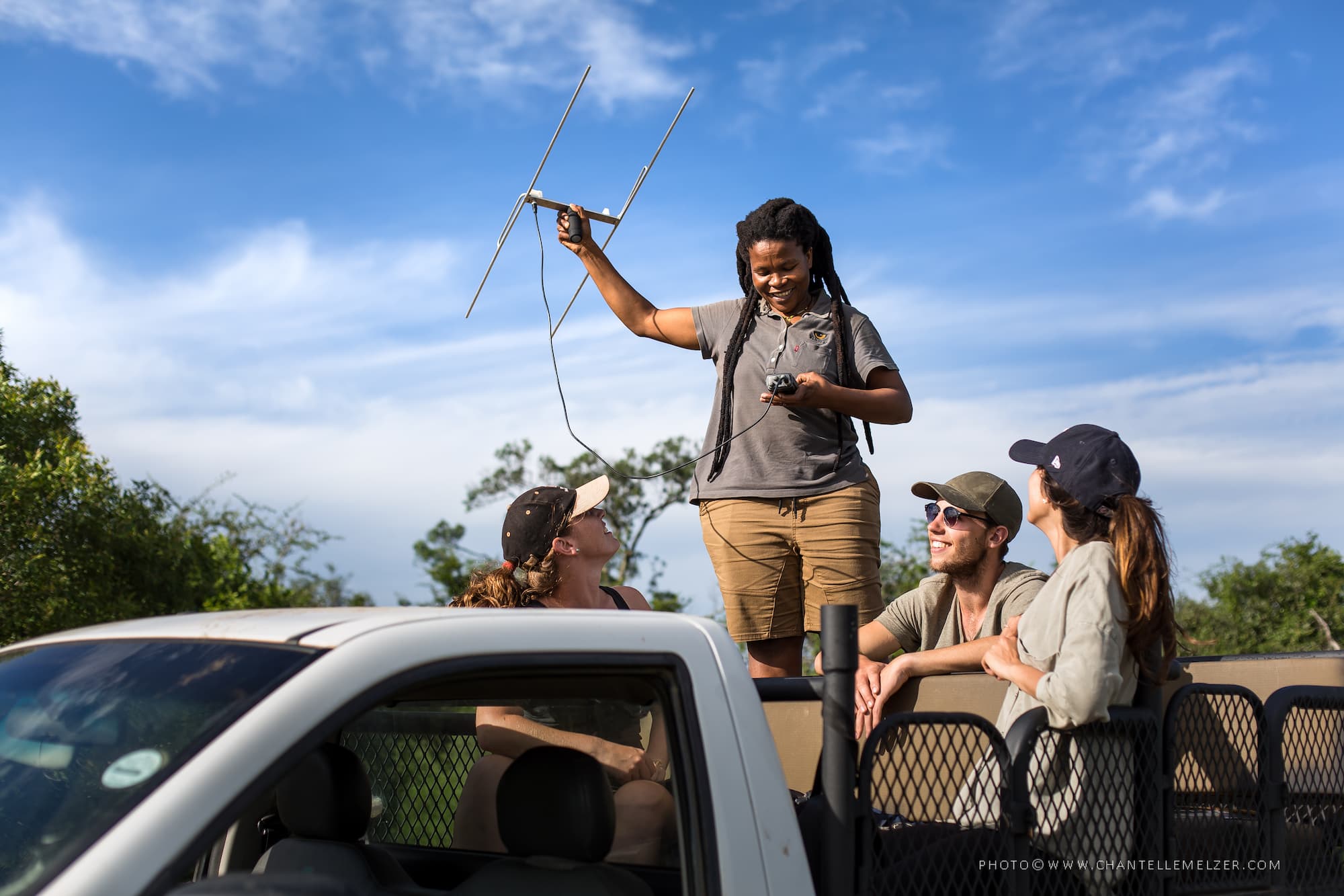 using VHF telemetry equipment to track a collared animal in the reserve