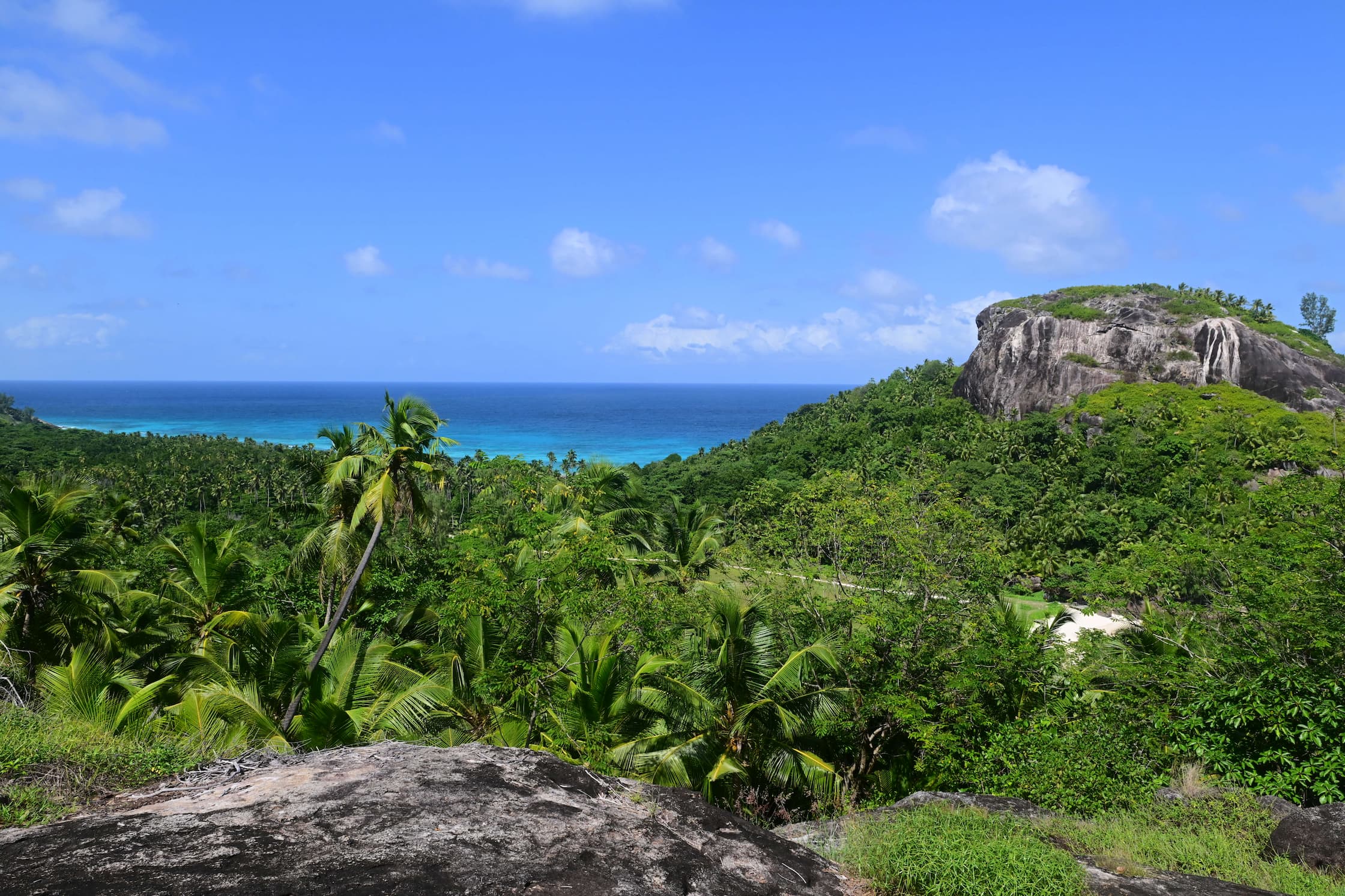 An outlook of the natural habitat of North Island, Seychelles. 