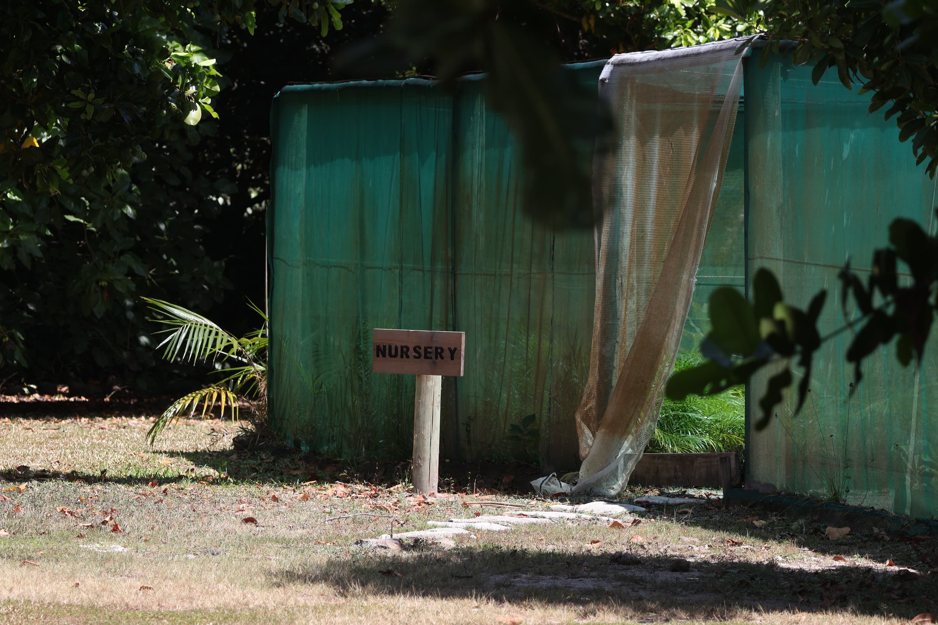 The seedling nursery where endemic plant species are propagated on North Island.