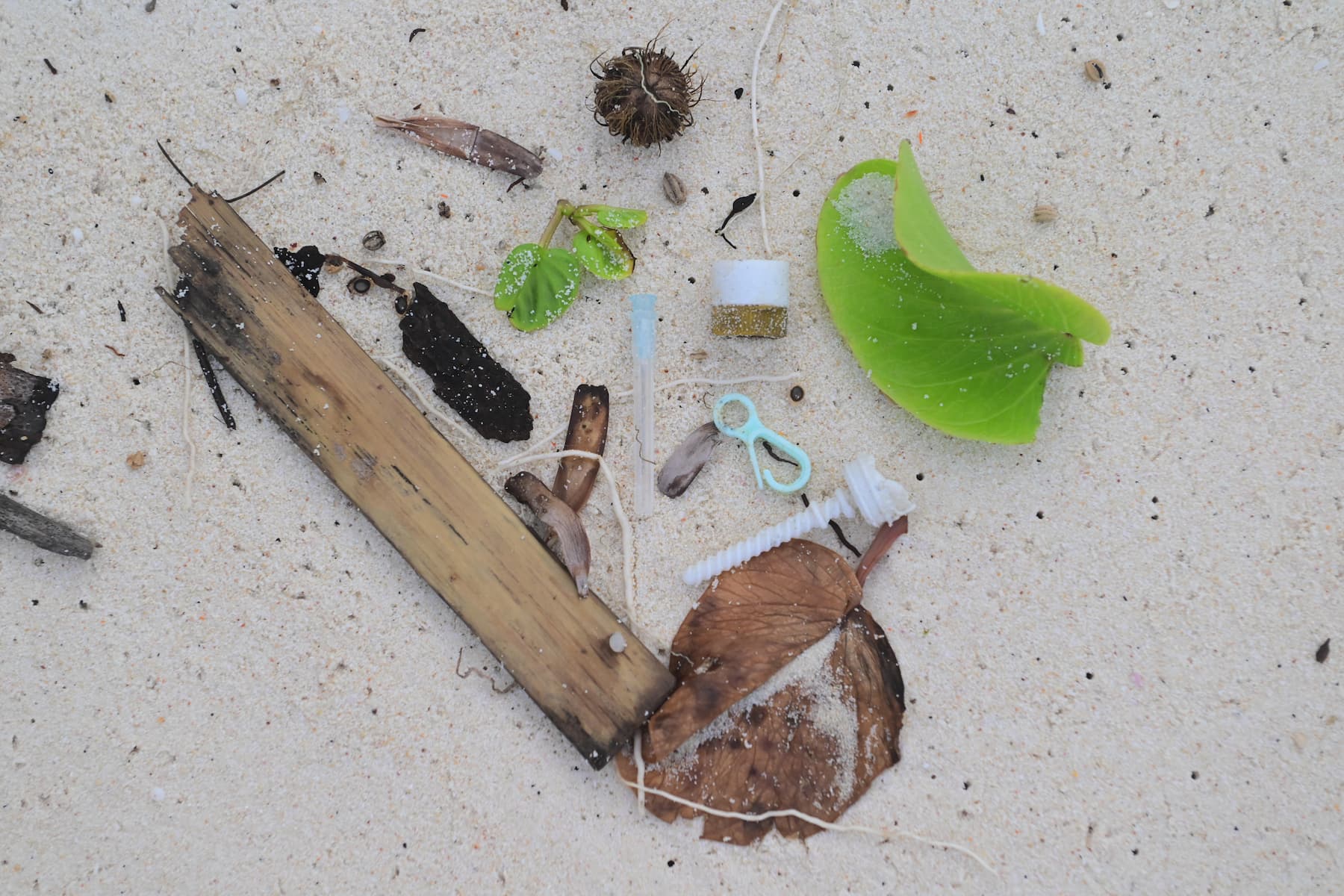 Debris including plastic pollution washes on the shore