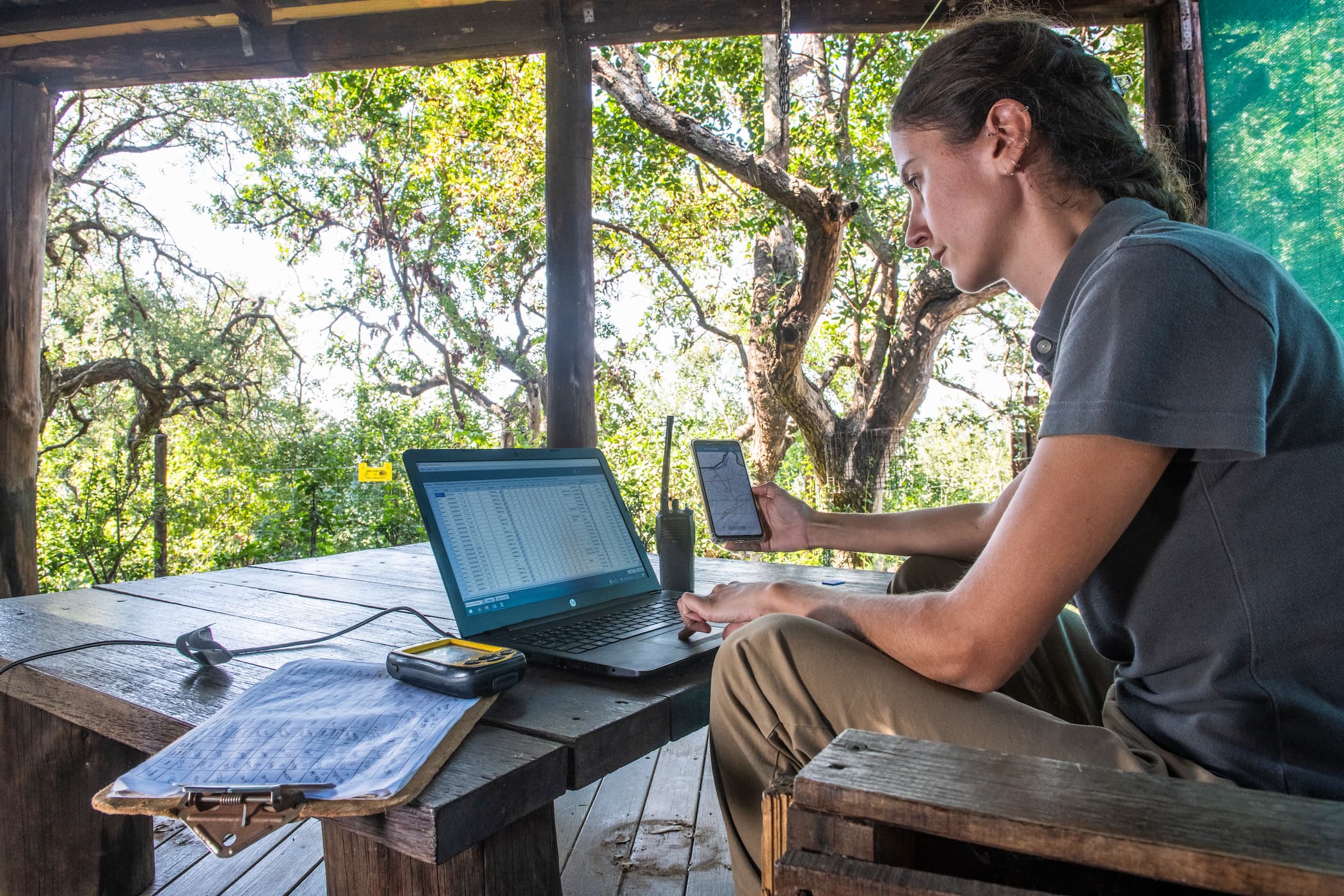 Wildlife ACT team member sorting and analysing Leopard survey data for long-term population monitoring