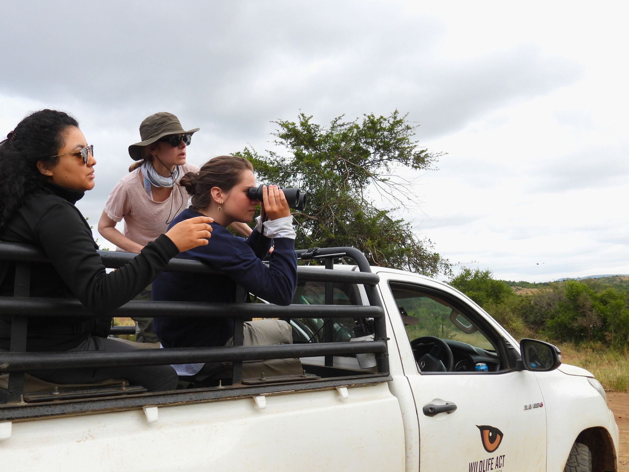 3 Conservation volunteers sit on the back of a truck in the zululand bush and look out at a wildlife sighting