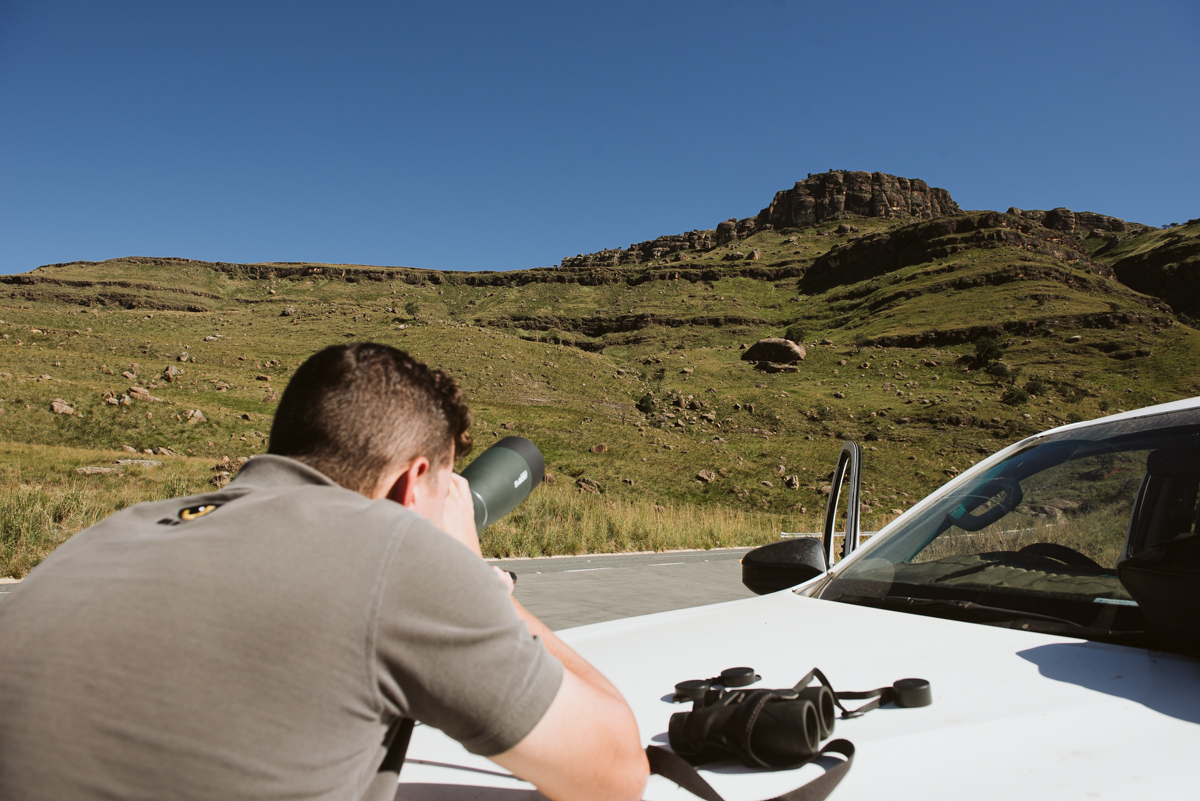 Wildlife ACT team member monitoring for signs of Vulture nesting activity in the Drakensberg during conservation fieldwork