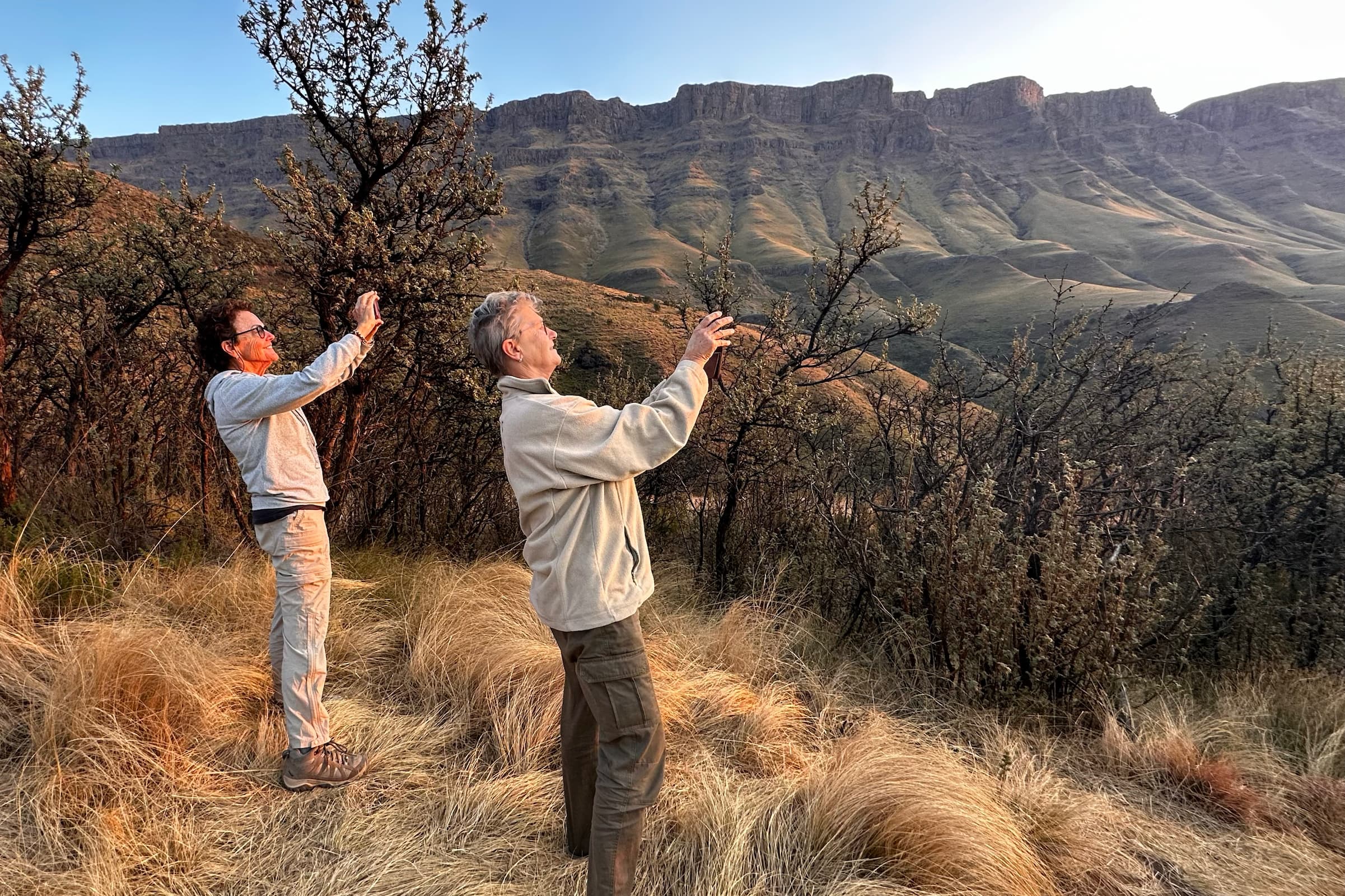 Wildlife conservation volunteers hiking through the Drakensberg mountains during a fieldwork session in South Africa