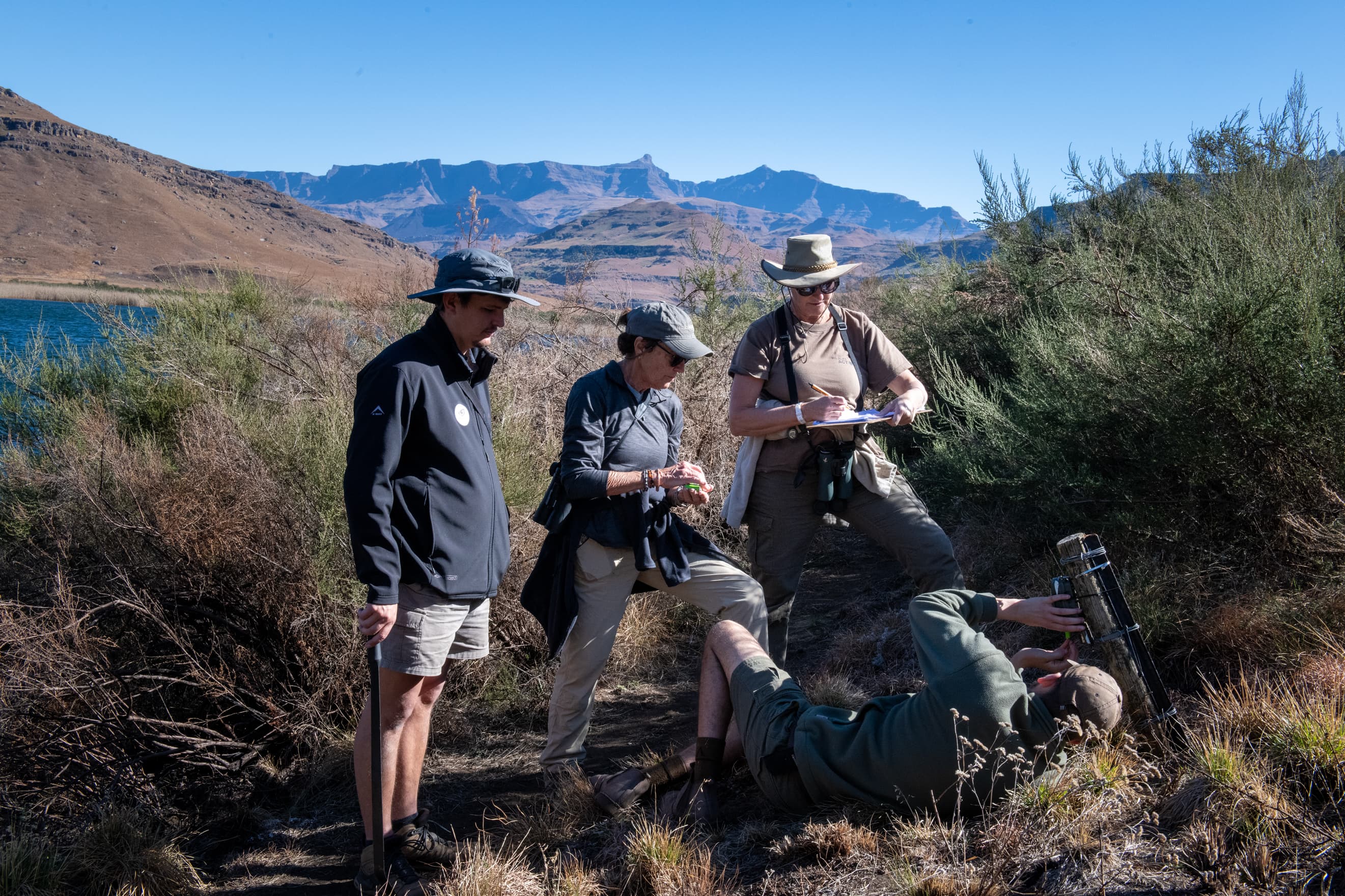 Wildlife conservation volunteers and team servicing camera traps in the Drakensberg as part of biodiversity monitoring