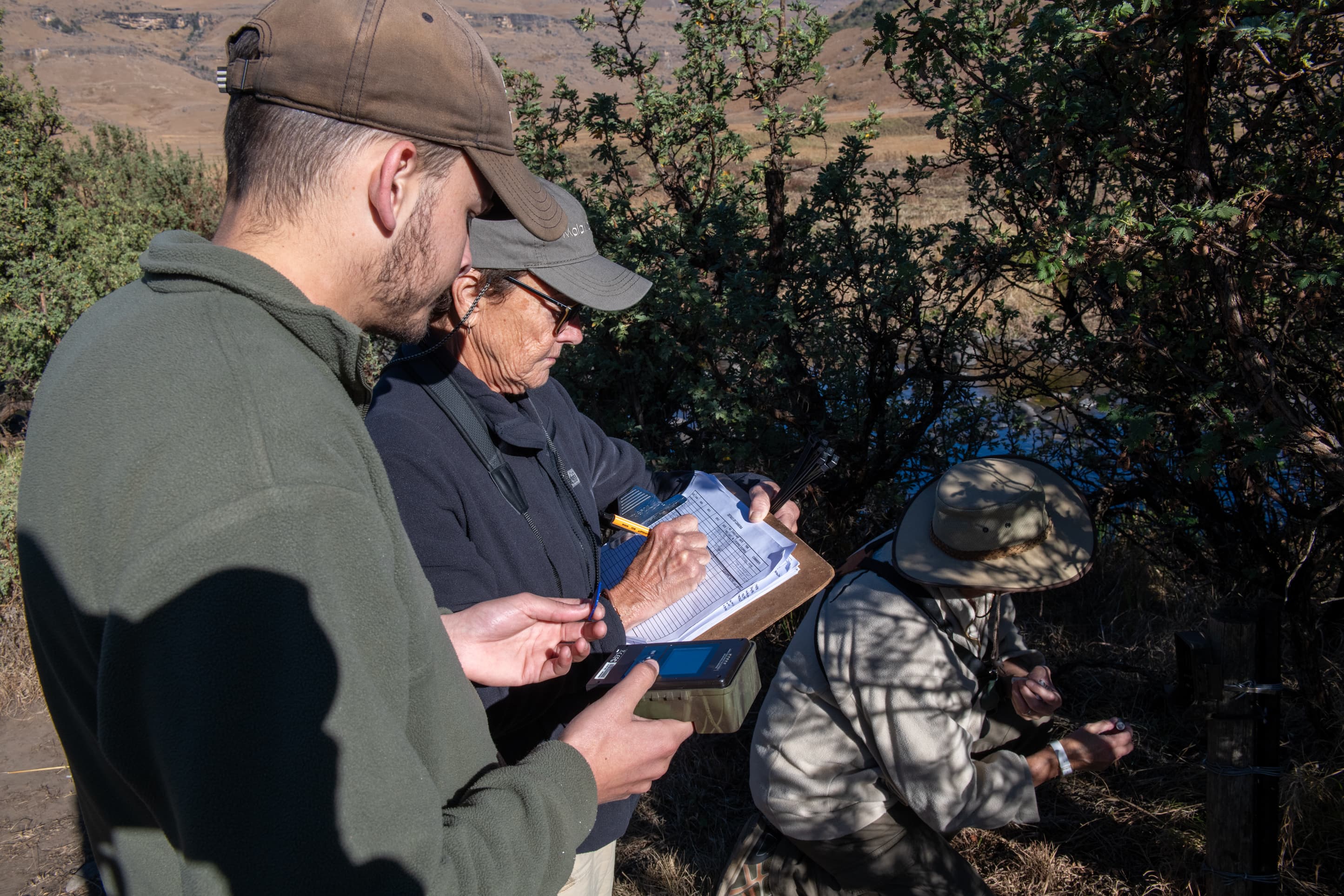 Wildlife conservation volunteers collecting data at a camera trap site in the Drakensberg during biodiversity monitoring