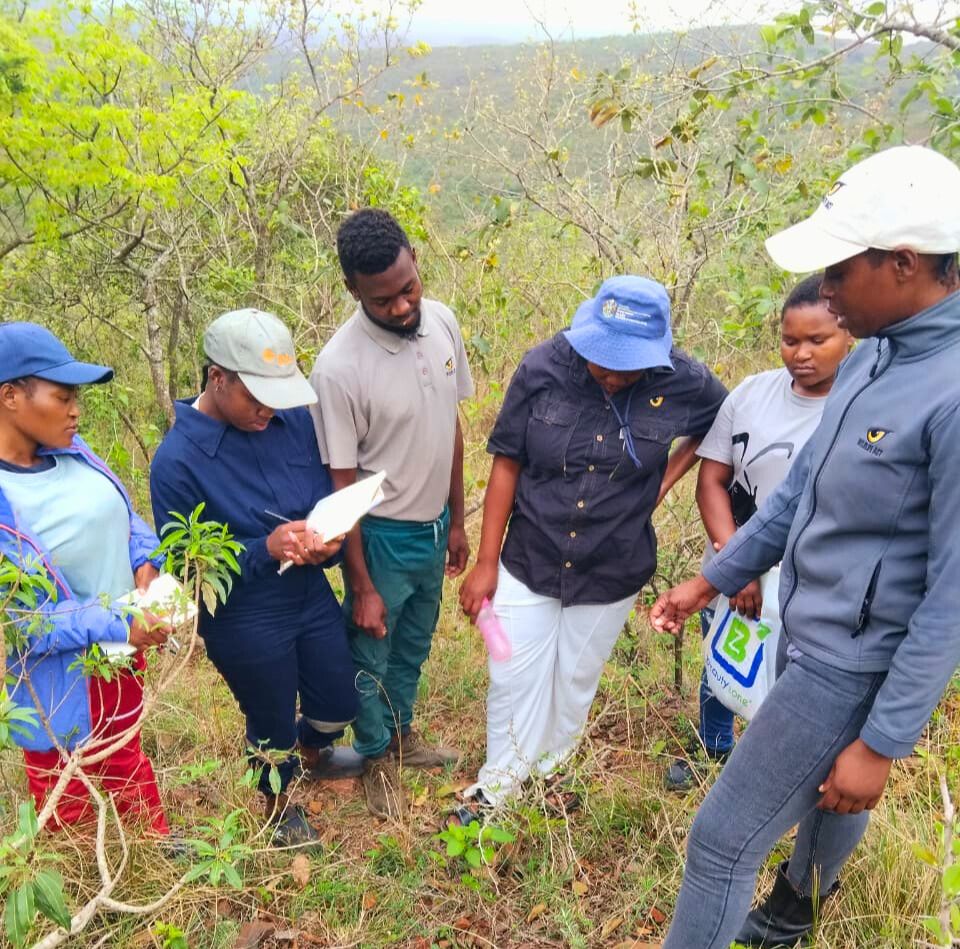 Surrounded by bush, a Wildlife ACT Community Conservation Liaison points to a plant and talks while five conservation club members listen and take notes