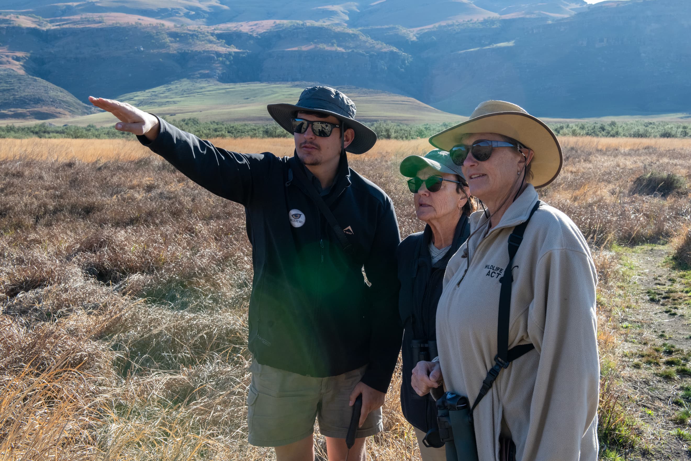Wildlife conservation volunteers hiking through the Southern Drakensberg during fieldwork in a mountain conservation programme