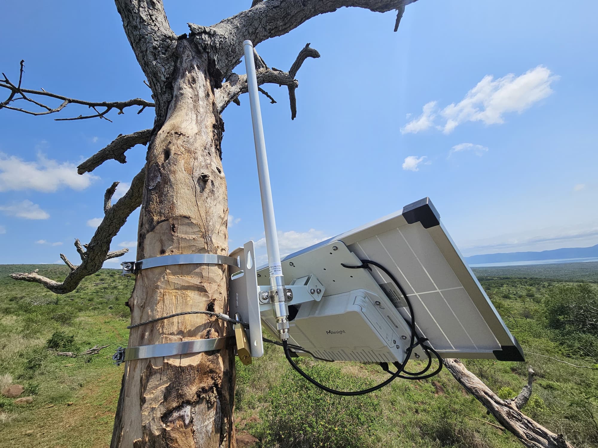 LoRaWAN infrastructure