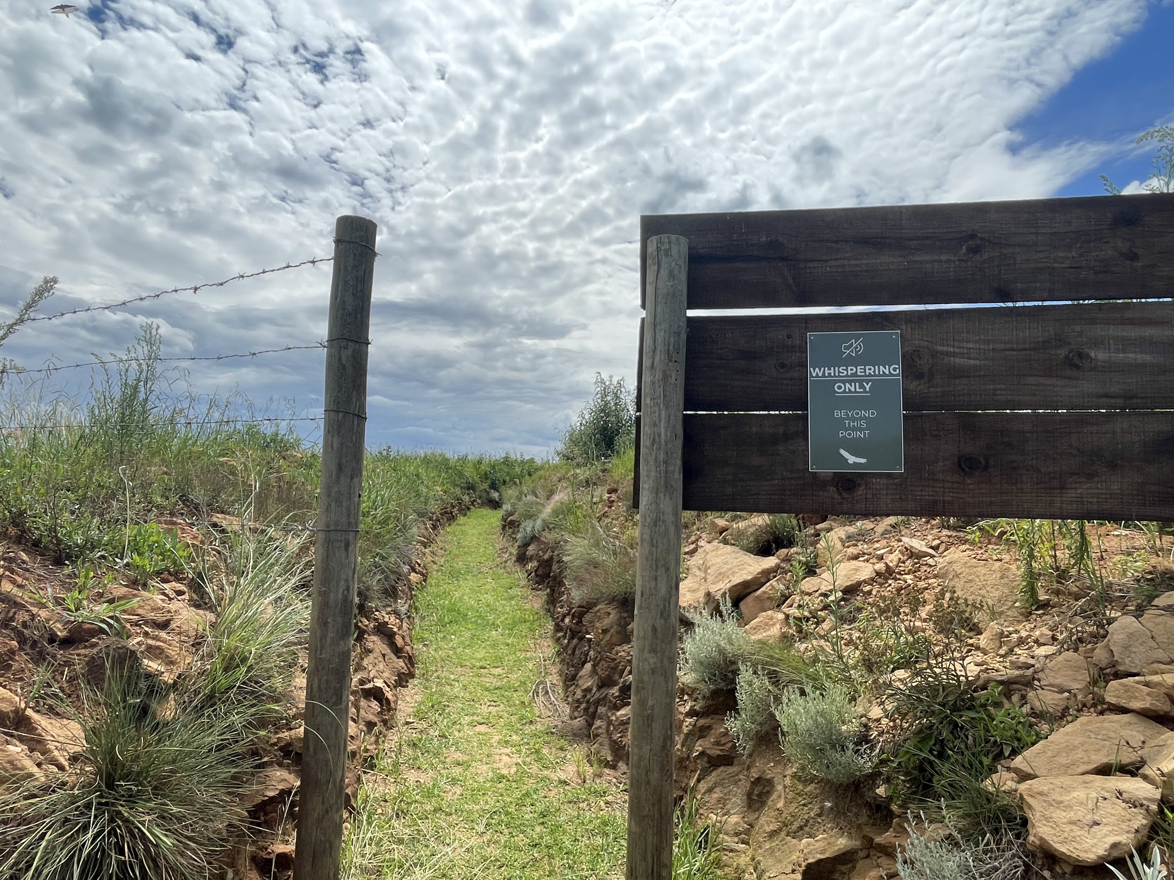 The natural walkway up to the Hide, photographed by Wildlife ACT's Megan Whittington
