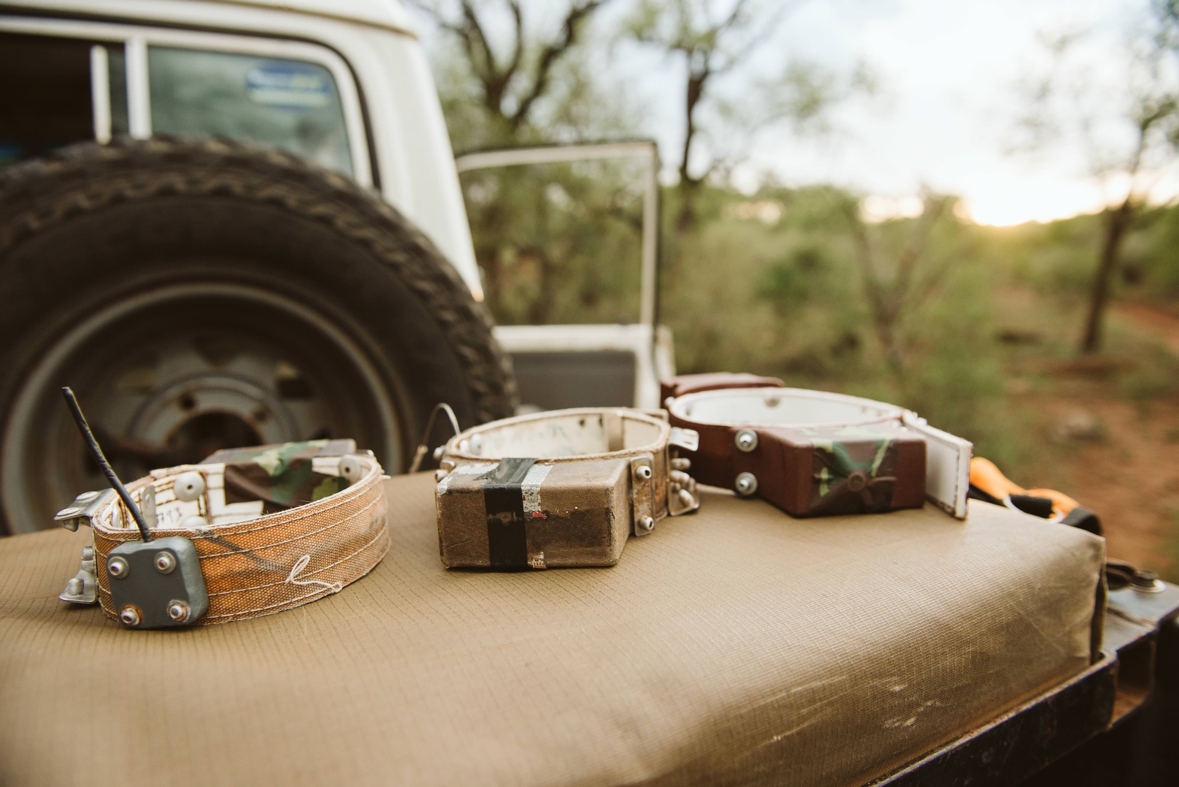 Three VHF anti-snare and VHF satellite collars laid out on a vehicle bonnet before deployment on a Somkhanda Wild Dog.