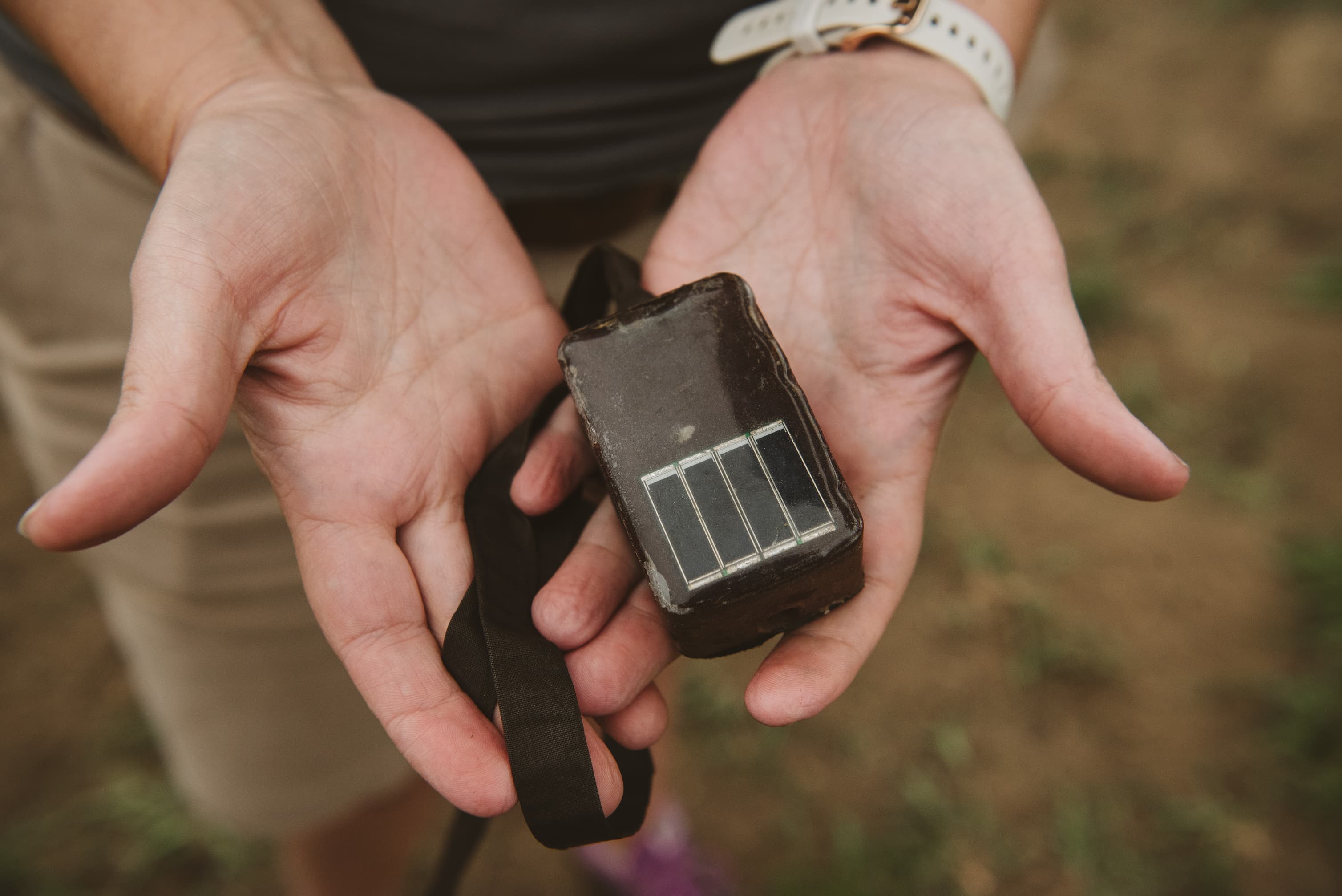 A solar-powered GSM GPS backpack tracking unit held ahead of fitting during a Lappet-faced Vulture survey in Hluhluwe-iMfolozi Park.