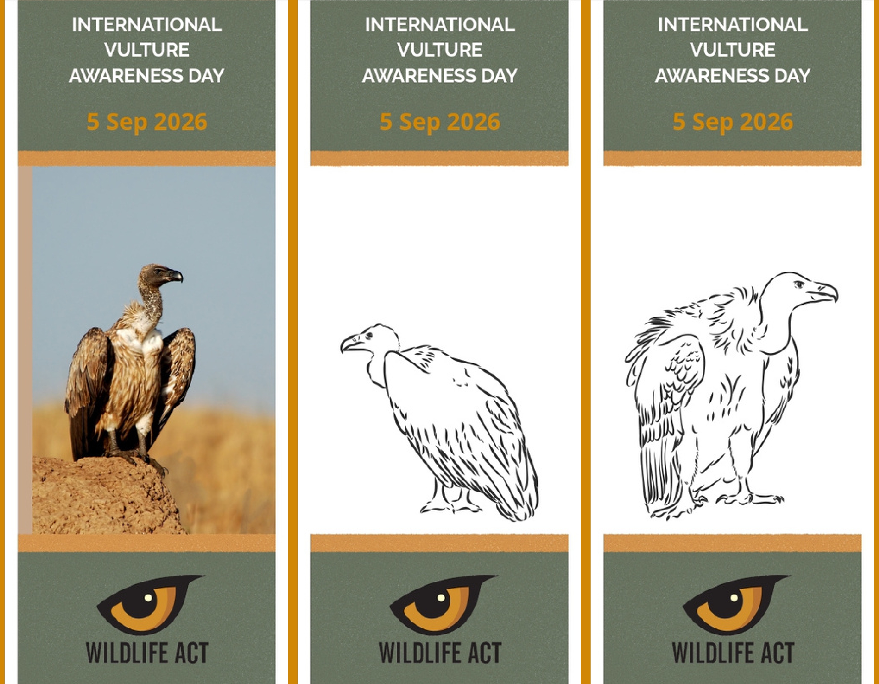 Several variations of the Vulture bookmark designs available to download and colour in.