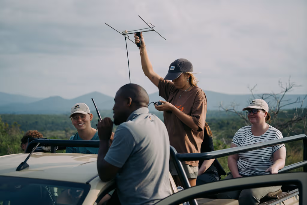 Volunteers in Zululand scanning with telemetry during a monitoring session