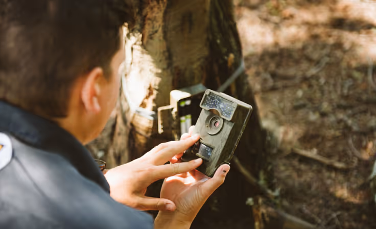Changing camera traps in the Southern Drakensberg