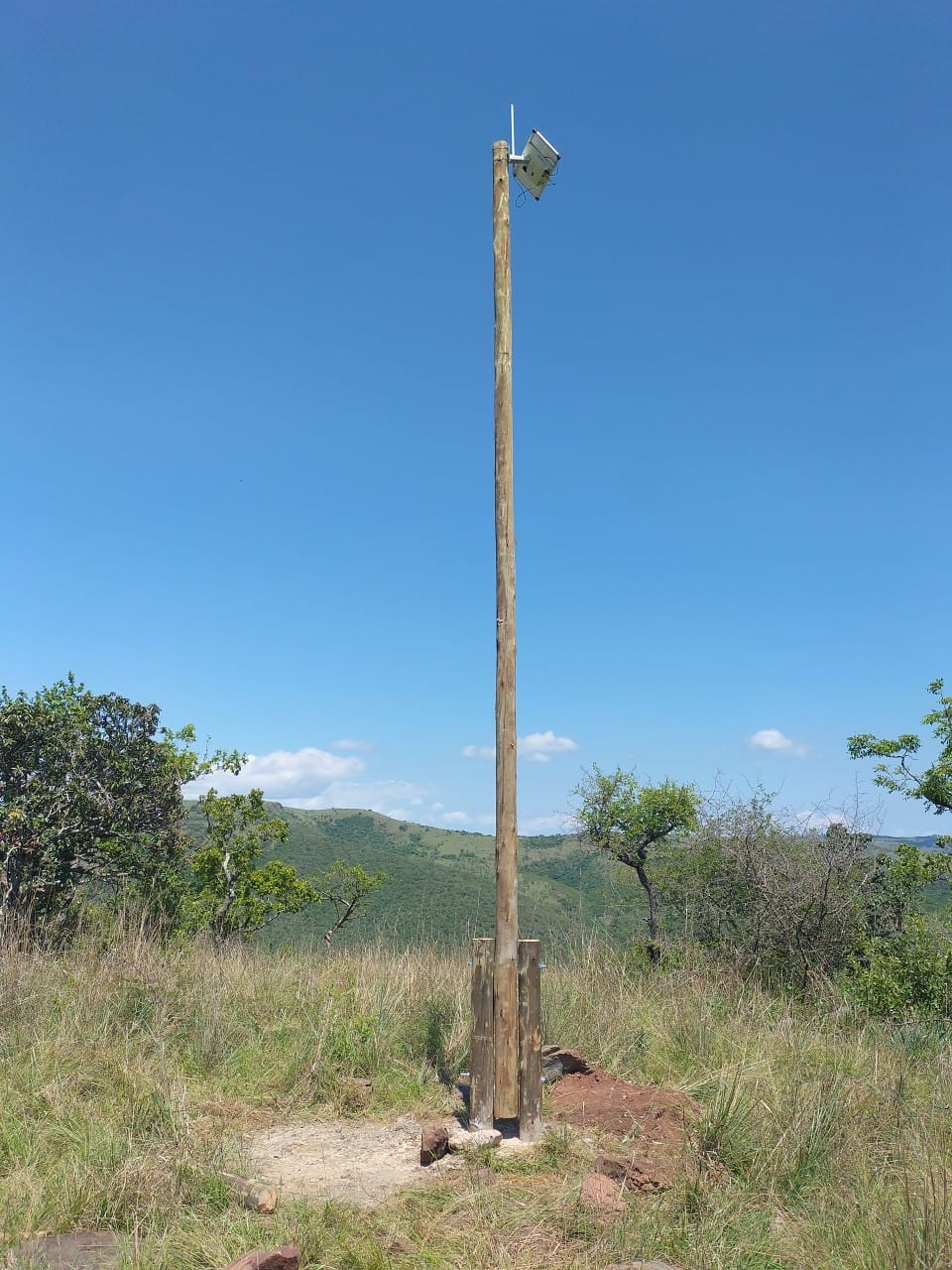 A LoRaWAN gateway mounted on a tall wooden pole against open grassland