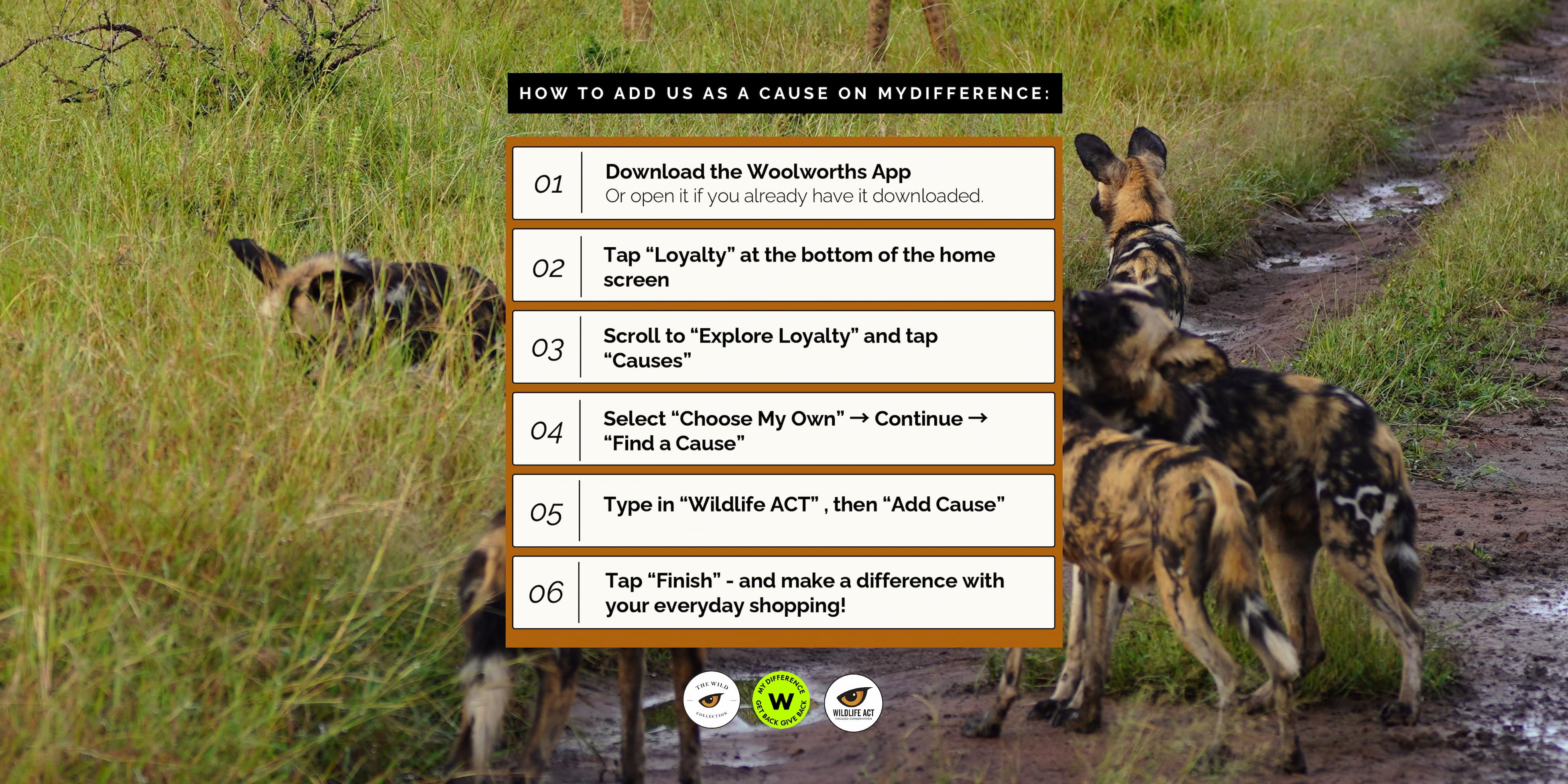 Graphic showing the steps to add Wildlife ACT as a cause on the Woolworths MyDifference app.