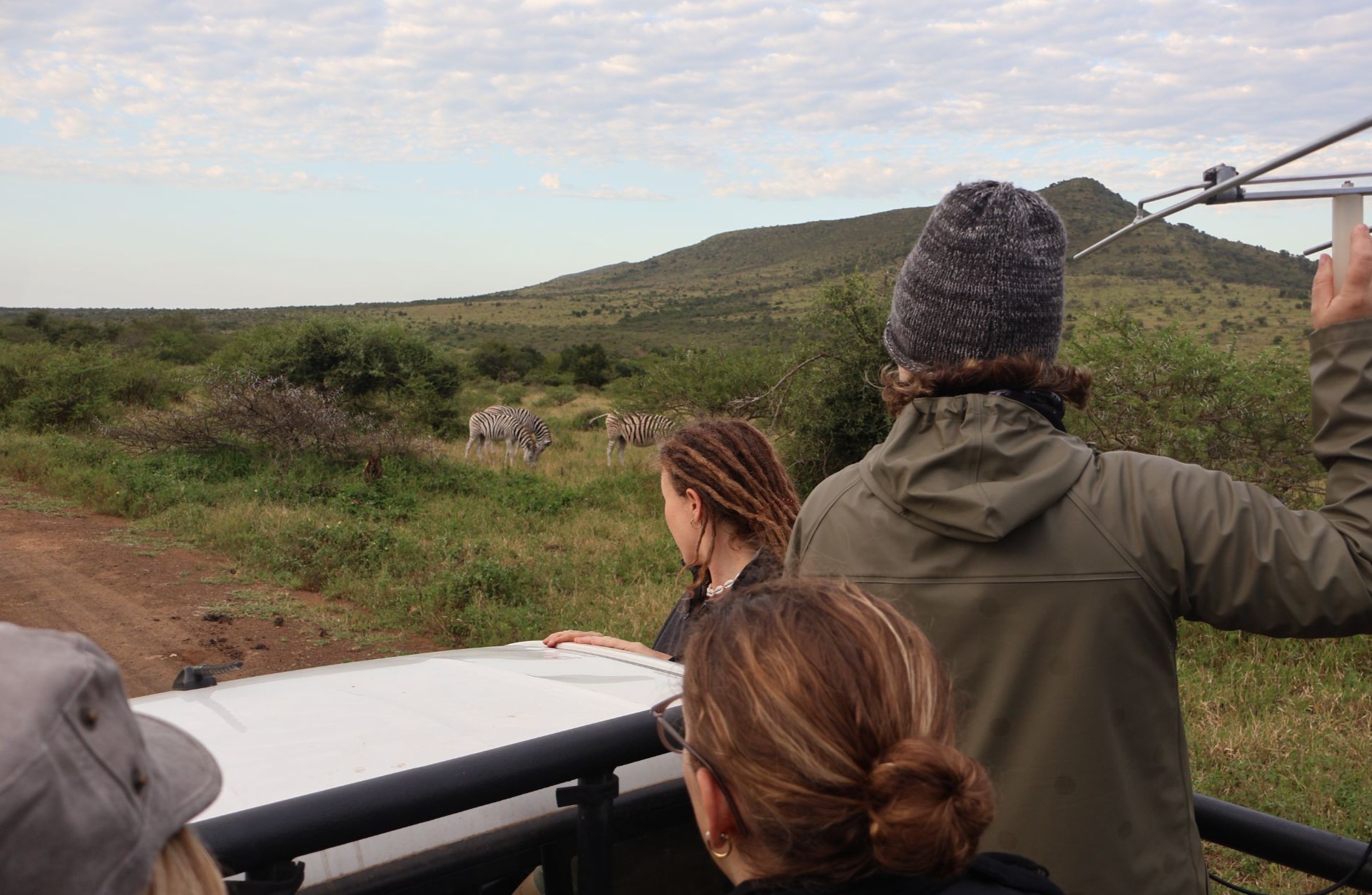 People on an open vehicle hold up a tracking antenna while watching zebras graze in grassland below a hill.