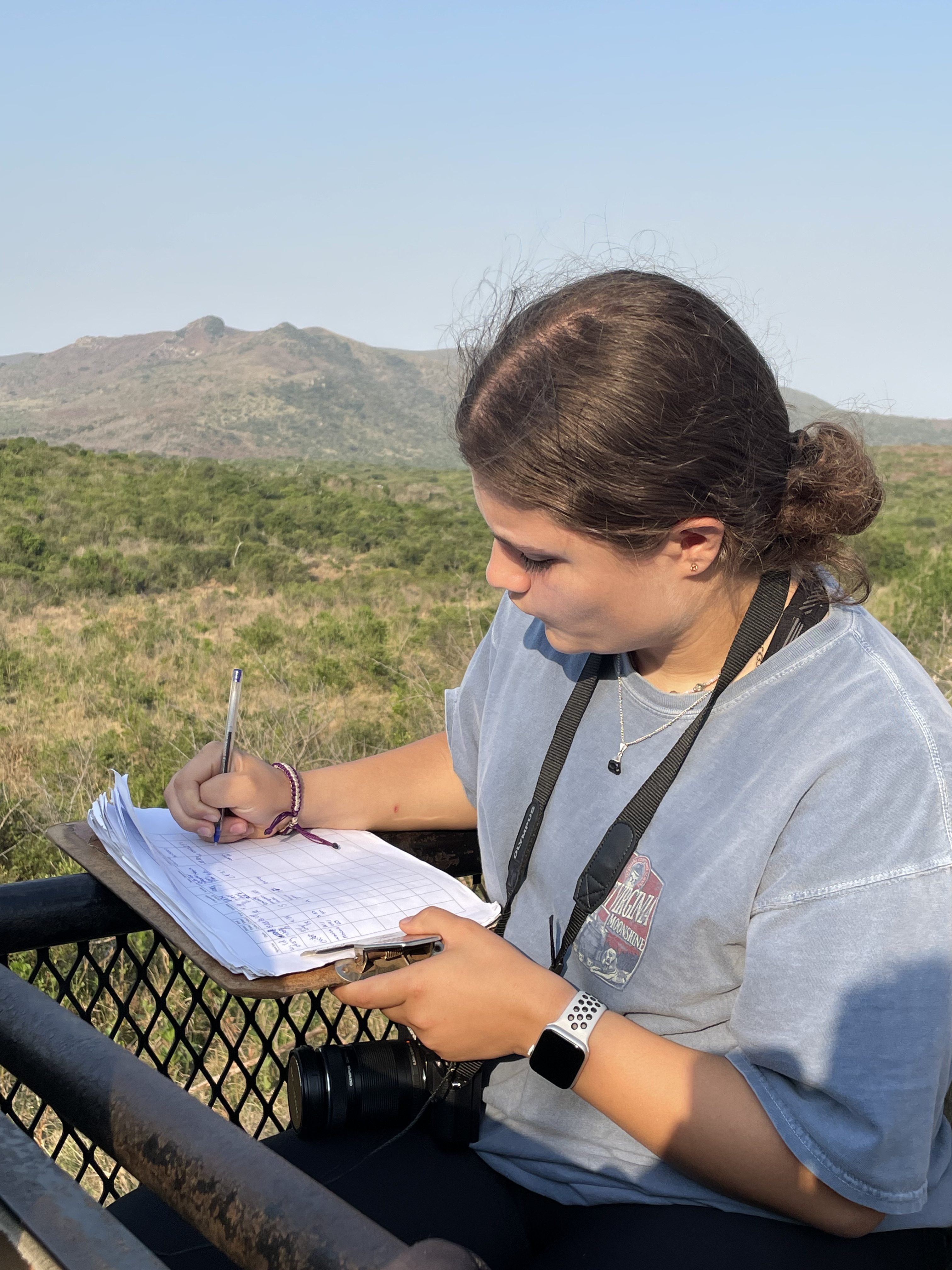 A volunteer scans for priority species