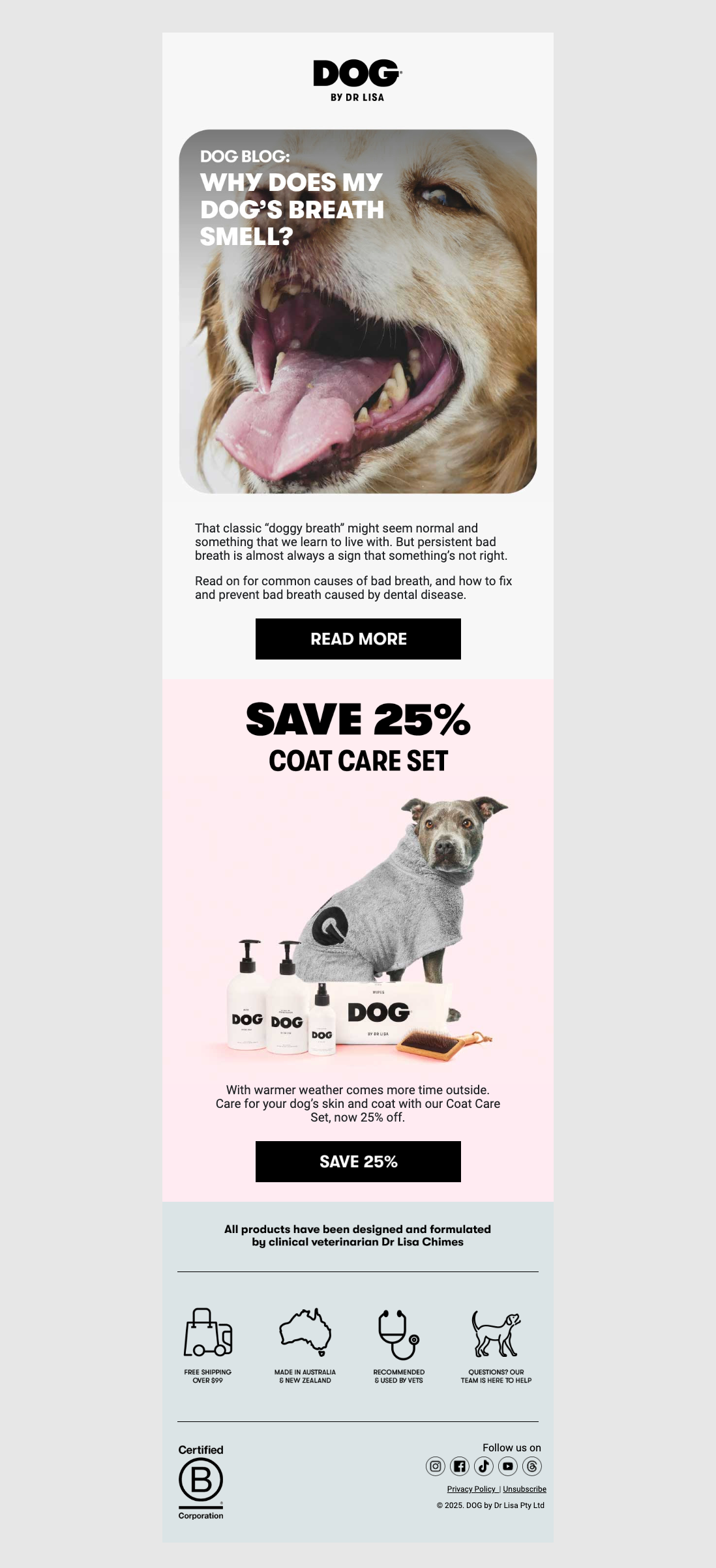 Why does your dog’s breath smell?