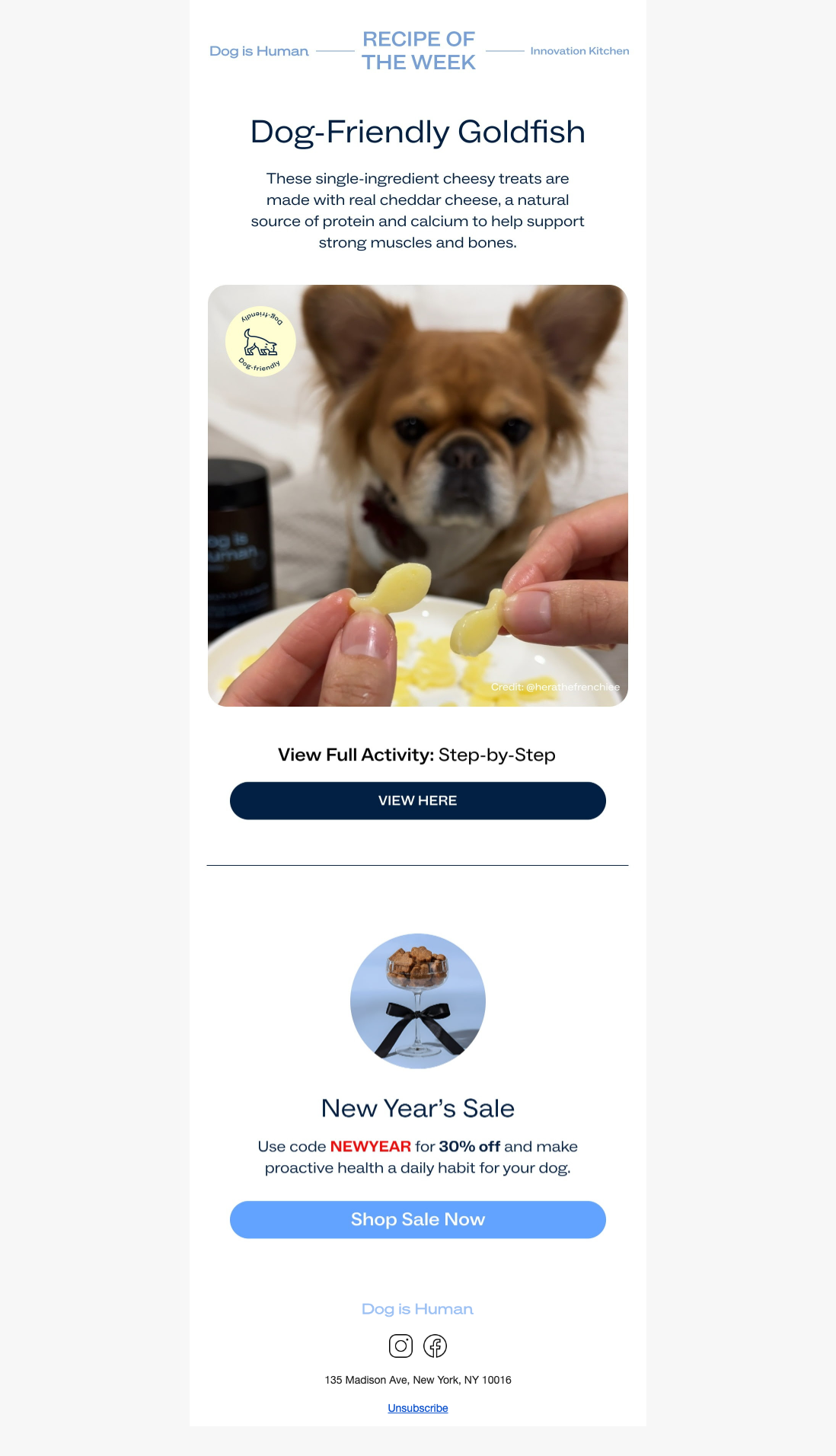 Dog-Friendly Goldfish